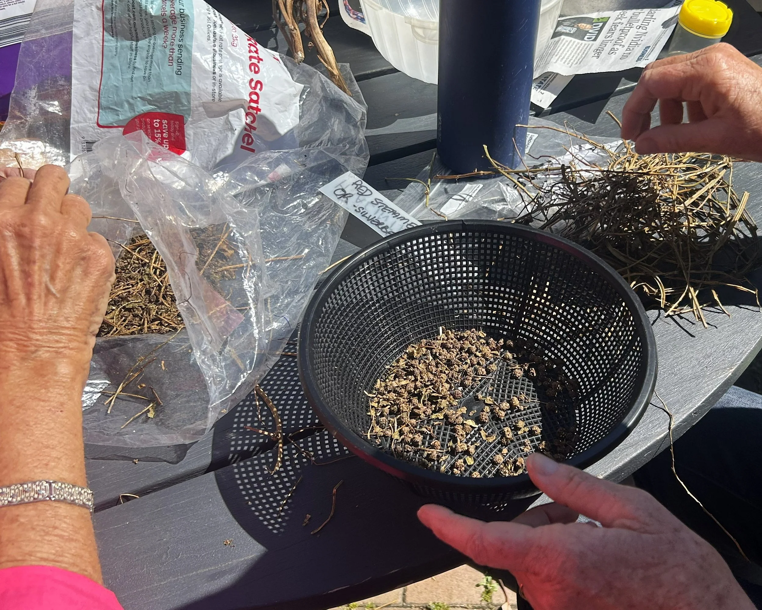 Seed Swap 2025