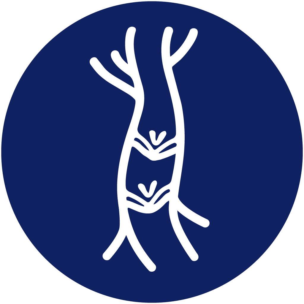 Icon of a blood vessel with a clot or blockage inside, depicted by a white line with shapes representing a clot on a dark blue circular background.
