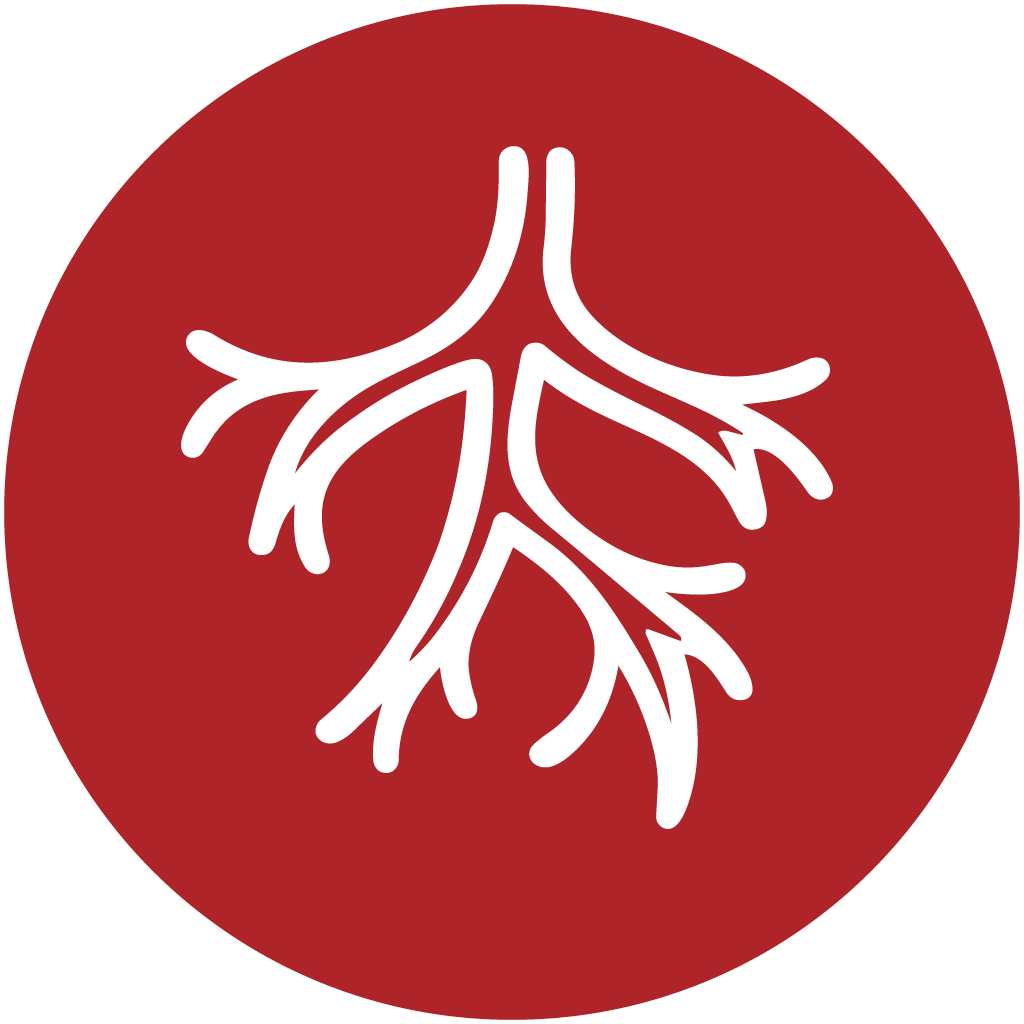 Illustration of a human lung with bronchial tubes on a red circular background.