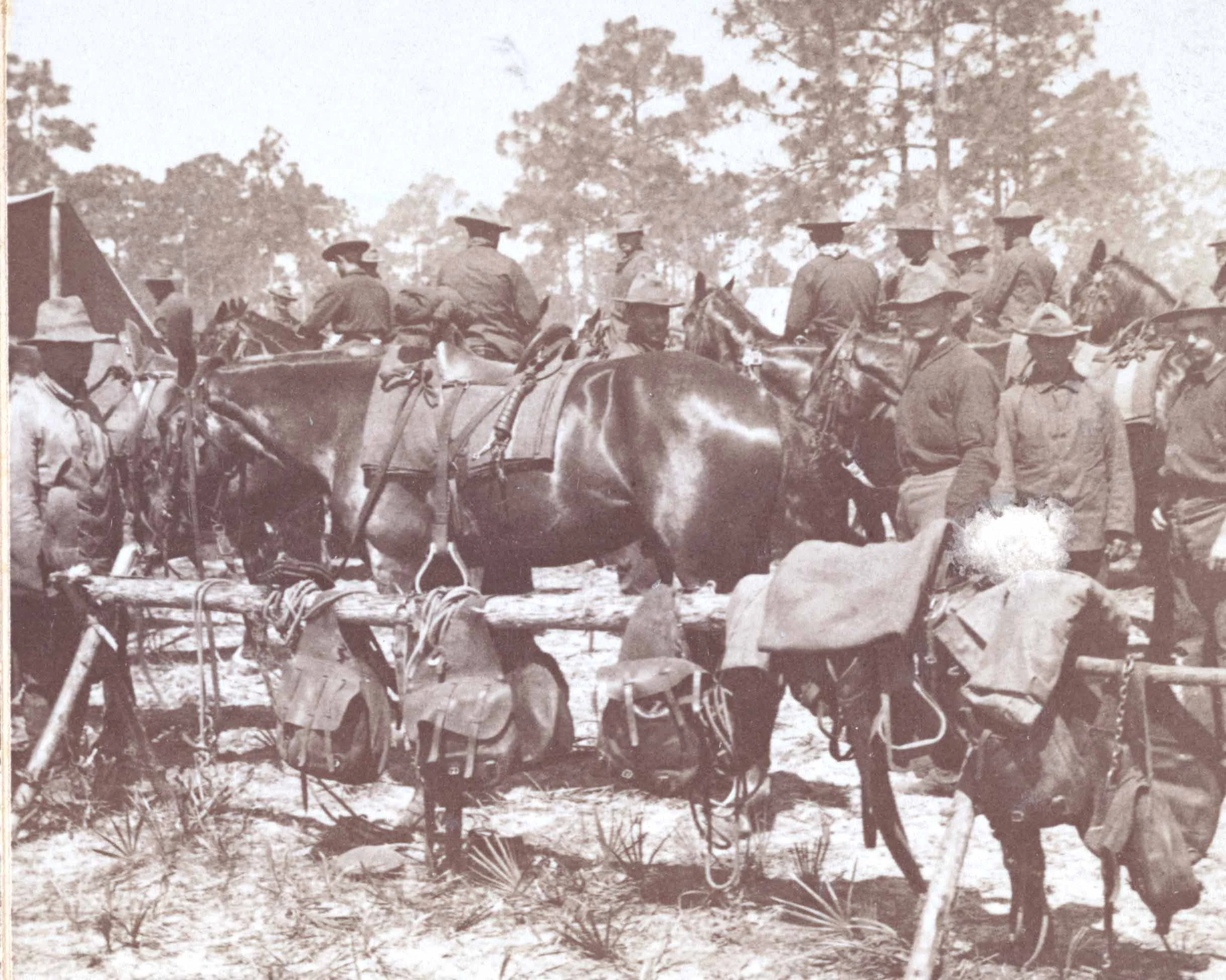 NOV 14: Cavalry Expanded in 1866