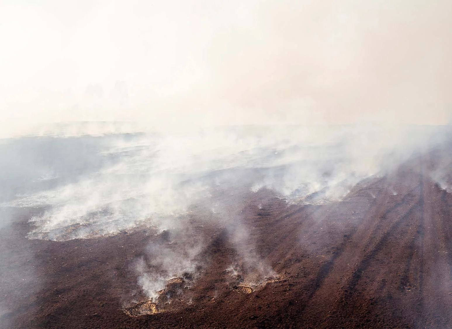 Smoke From Bog Fire _2.jpg (Copy)