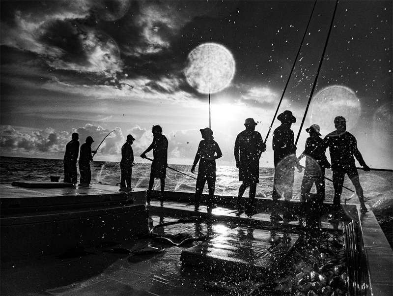 Screenshot 2025-11-09 at 00.06.16.png