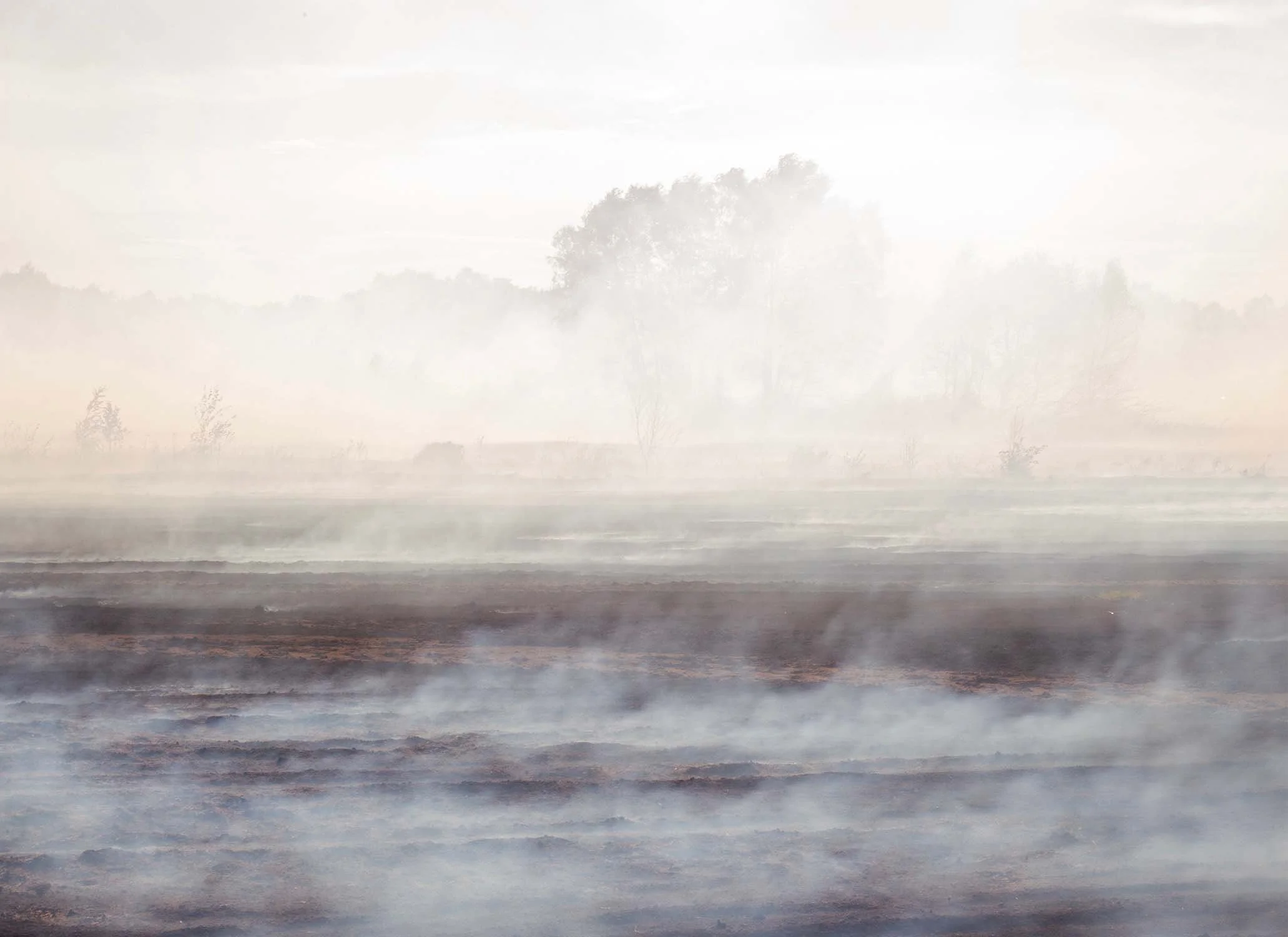 Smoke From Bog Fire _1.jpg