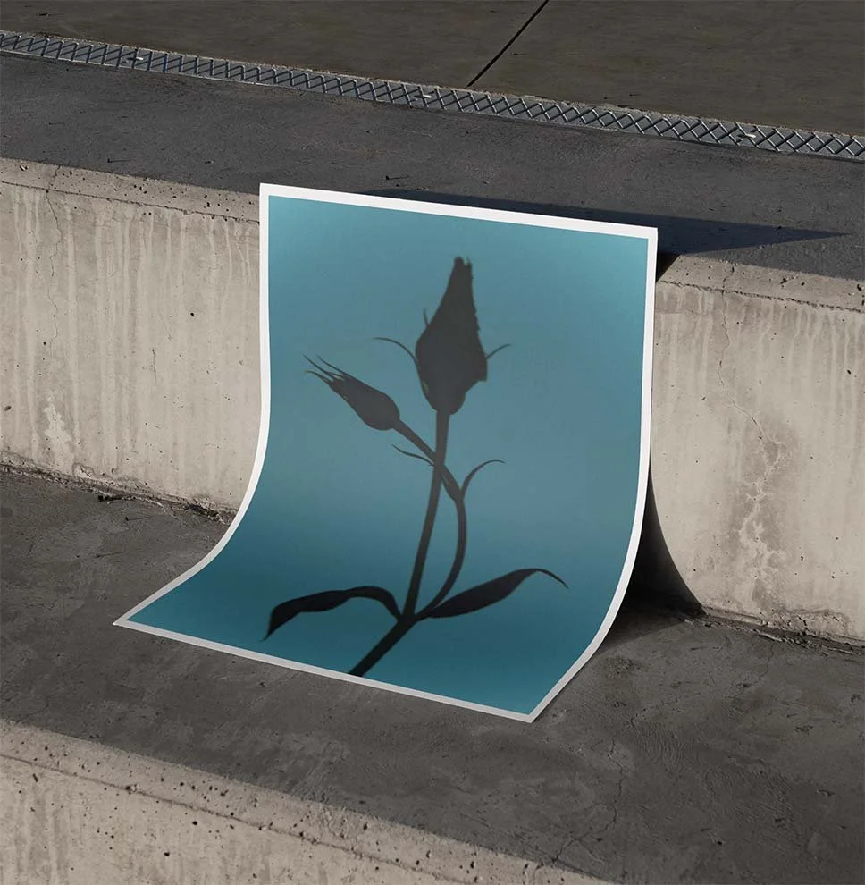 Eustoma-No FramMockUp1.jpg