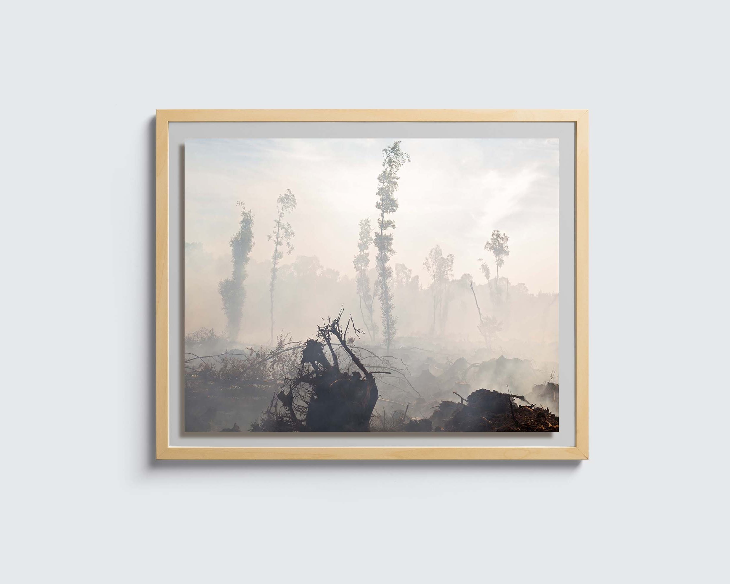 Aftermath of Bog FireMockup_1.jpg