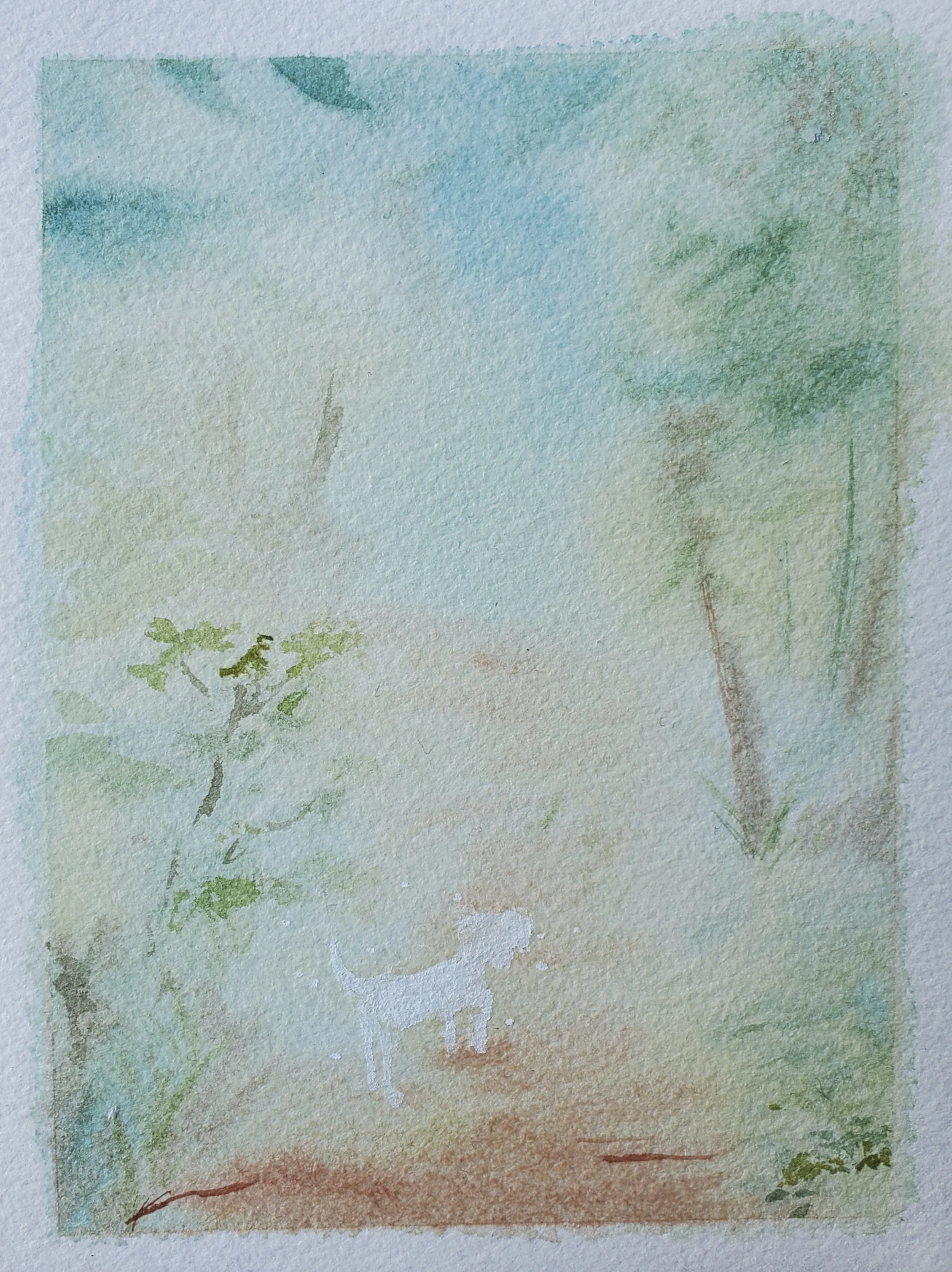 Crowded Spaces/                   A World of Trees