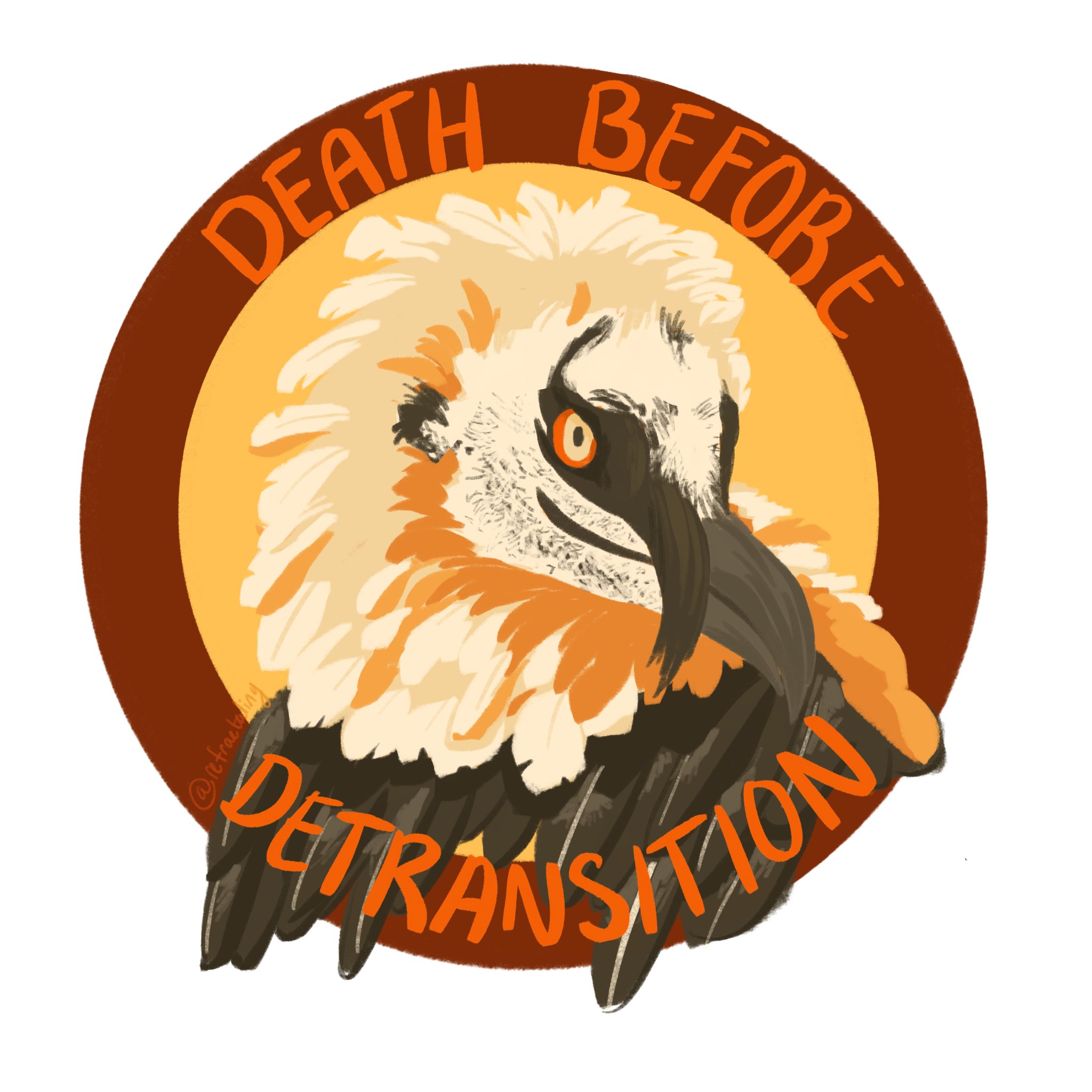 Death Before Detransition Sticker