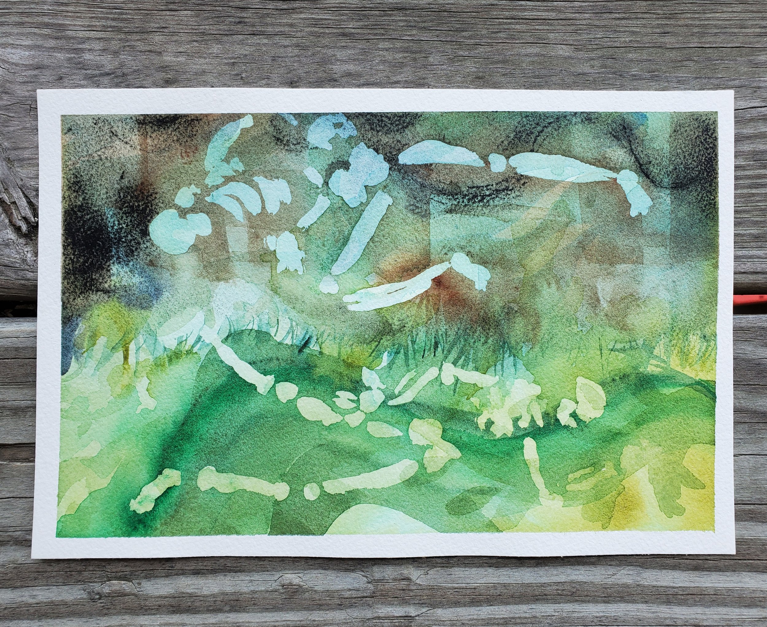 Finch (Original Painting)