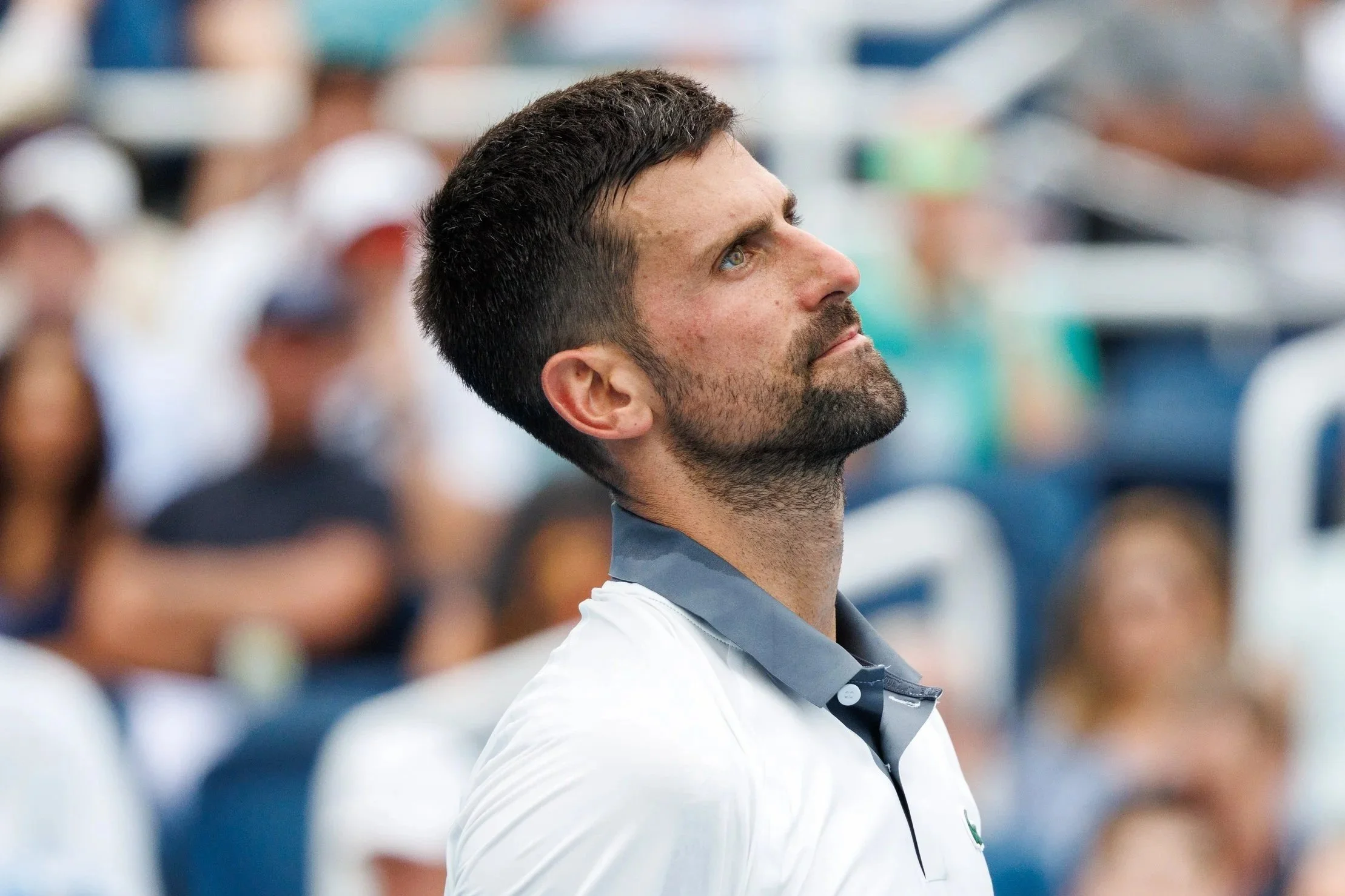 260815+Cincinnati+Open+Day+3+Djokovic+v.+Tirante-169.jpg