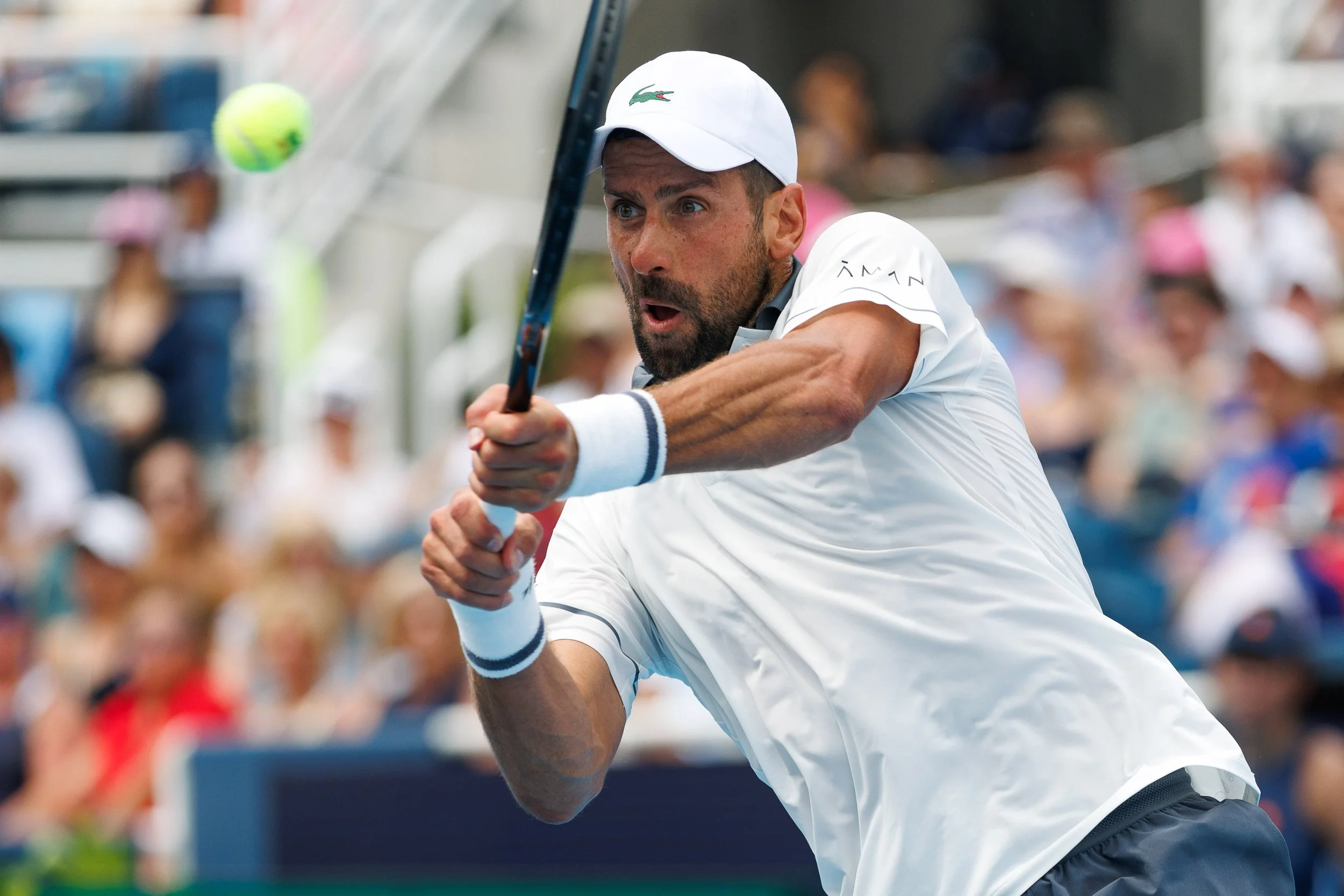260815 Cincinnati Open Day 3 Djokovic v. Tirante-44.jpg