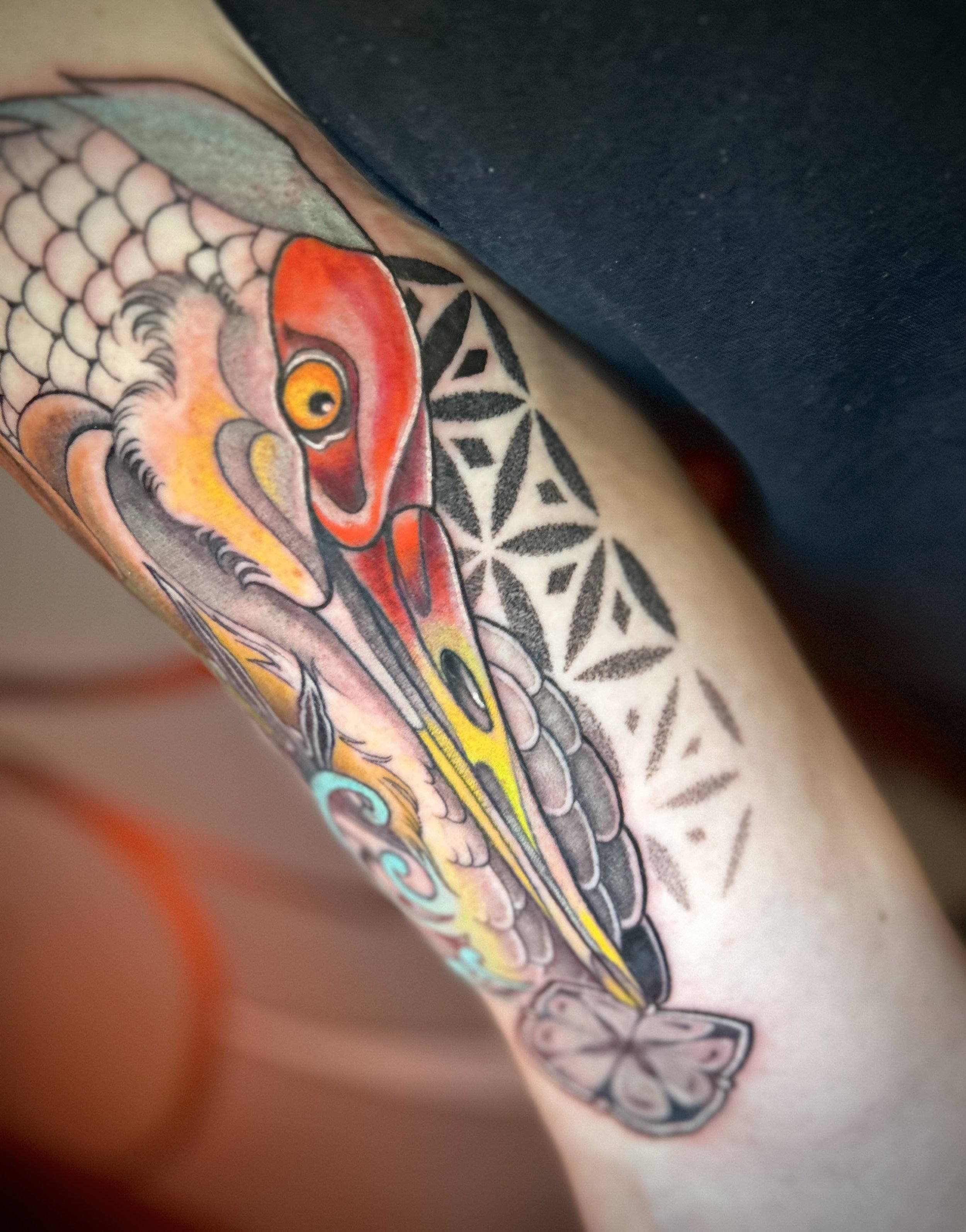 Neo traditional sand hill crane, geometric mash up tattoo