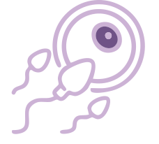 Conception