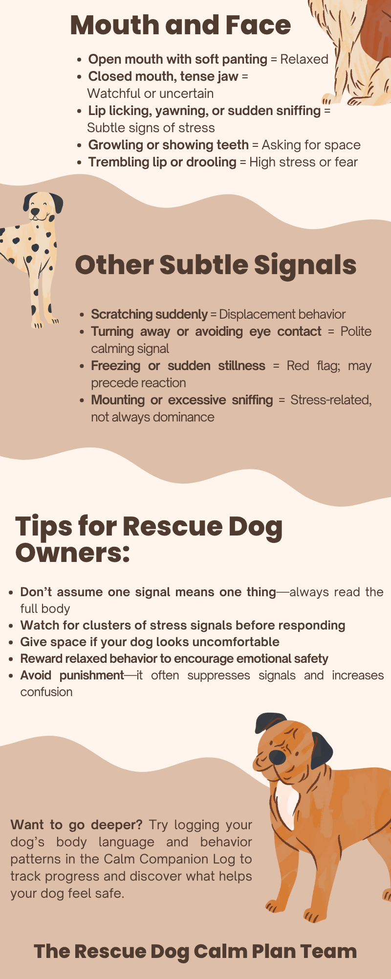 Infographic explaining dog body language cues for stress signals and tips for rescue dog owners, featuring illustrations of a Dalmatian and a brown dog.