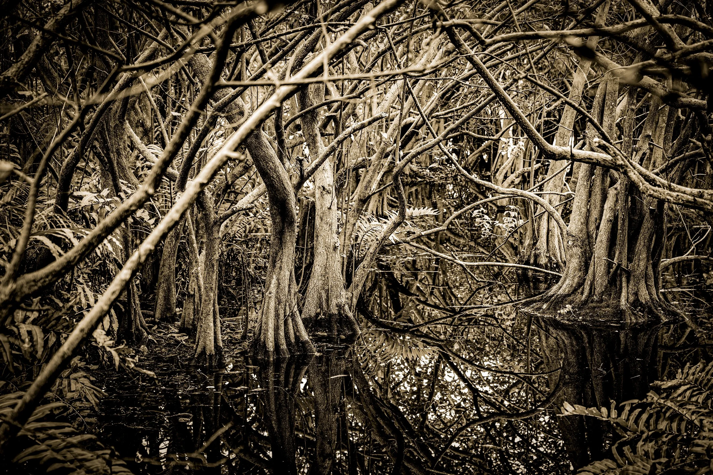 _DSC3683-4-2 copy.jpg