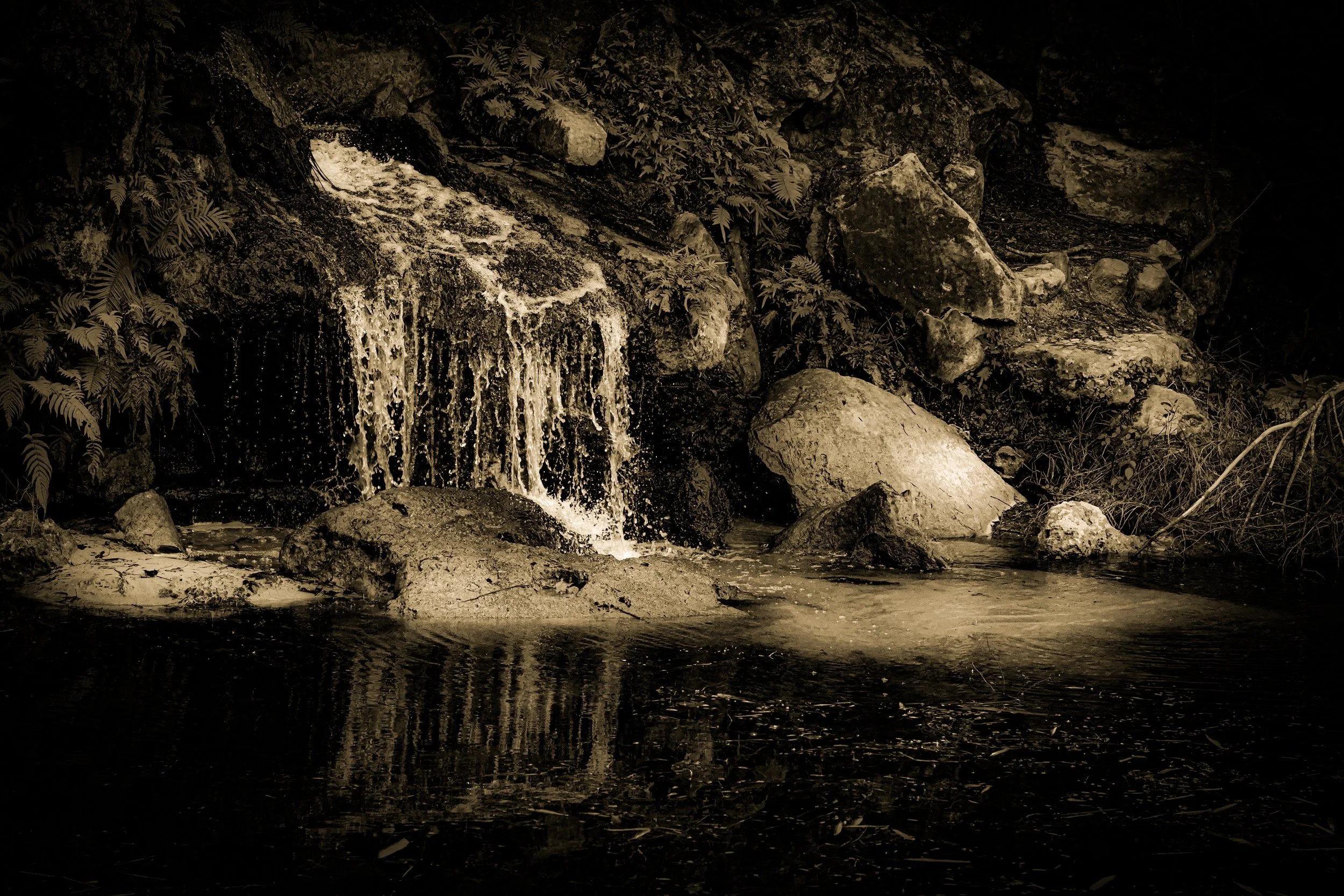 _DSC3584-3-2 copy.jpg