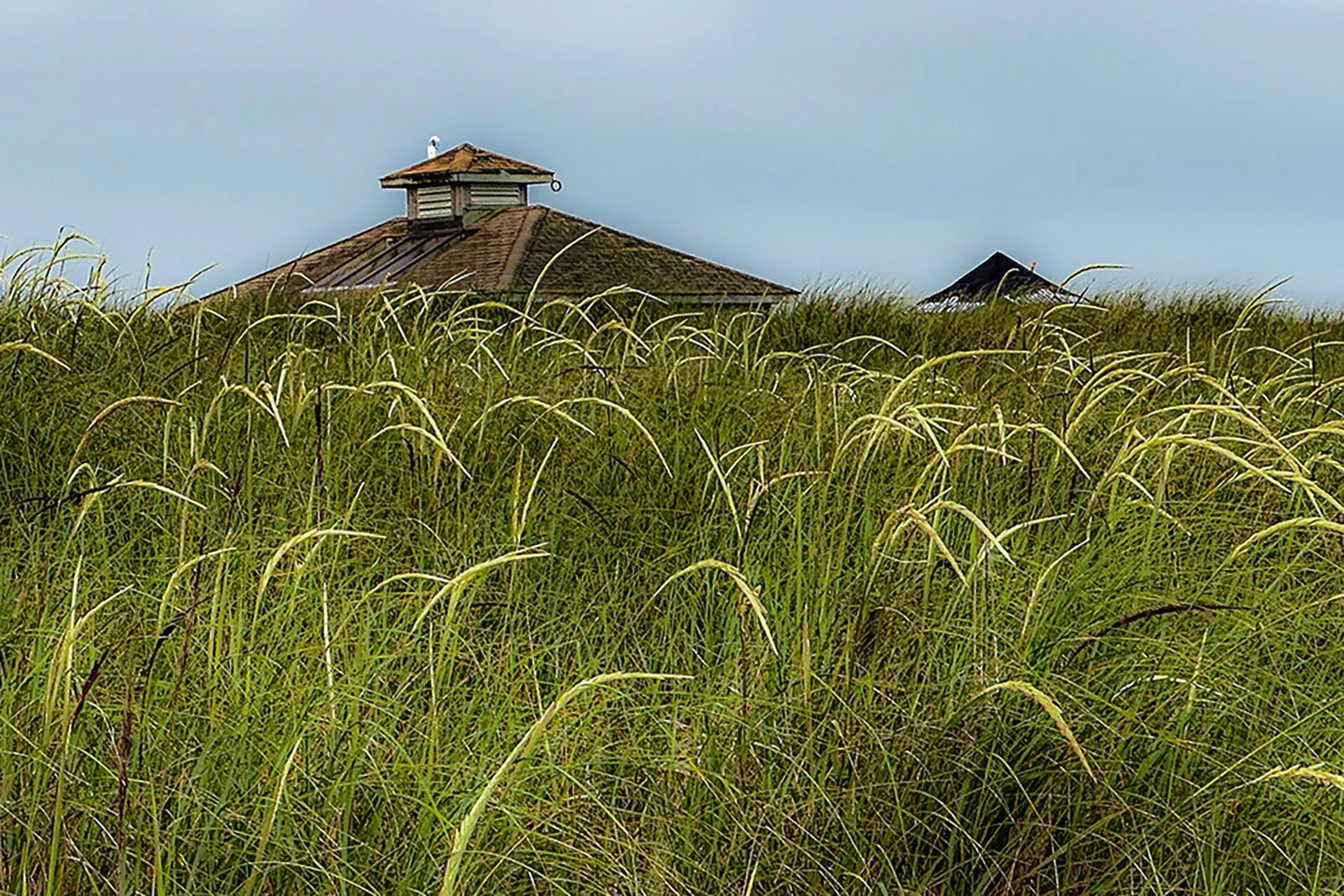 Mark_Mancher_East End copy 3.jpg