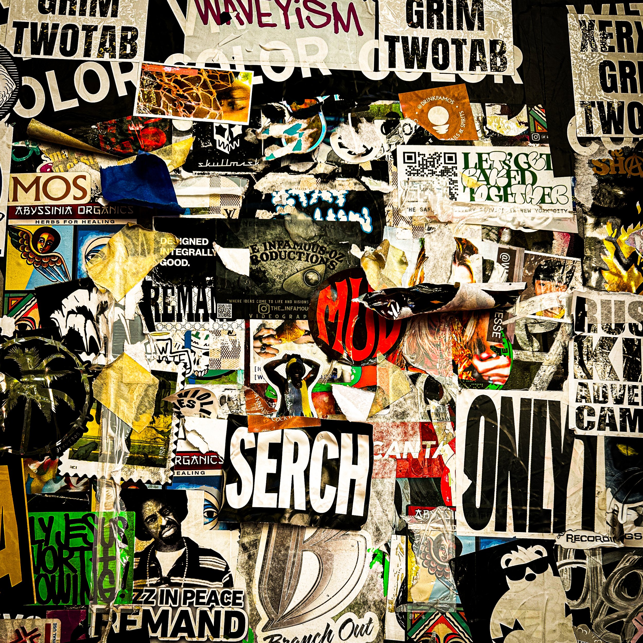 IMG_6202-2 copy-2 copy.jpg