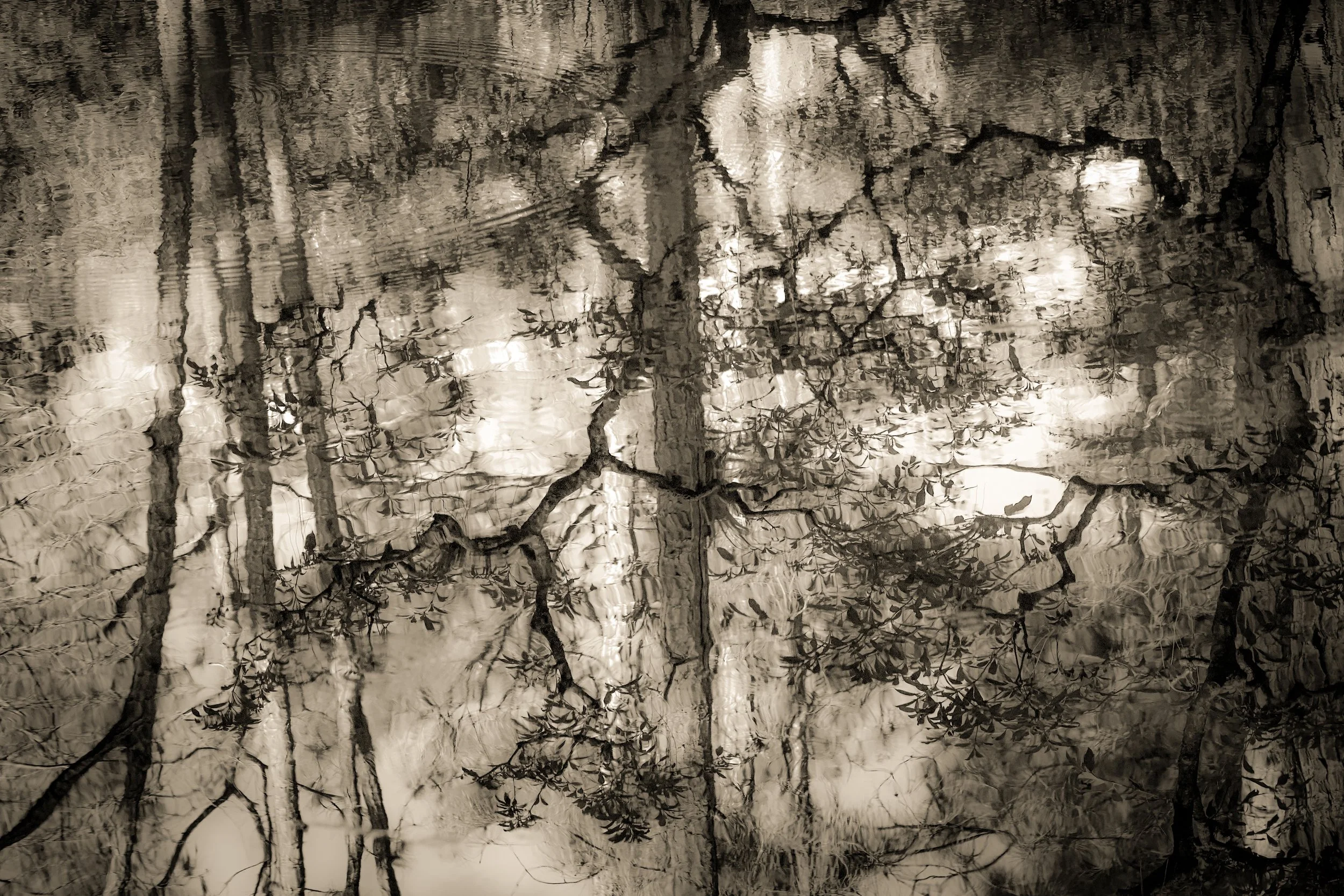 _DSC3542-3-2 copy.jpg