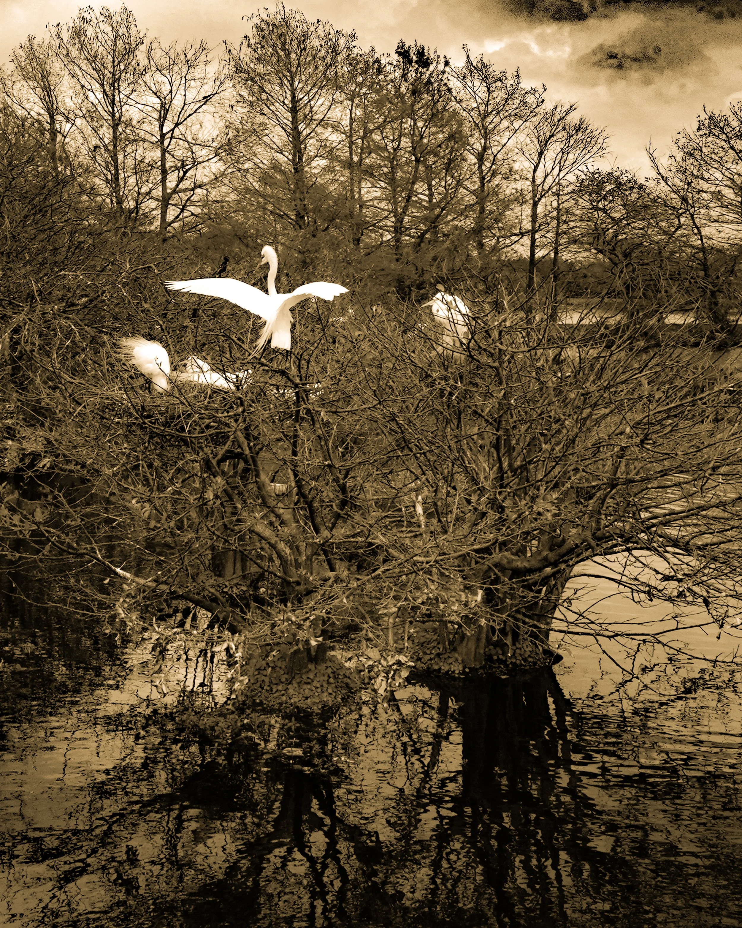 Roger share Florida copy-3-2.jpg