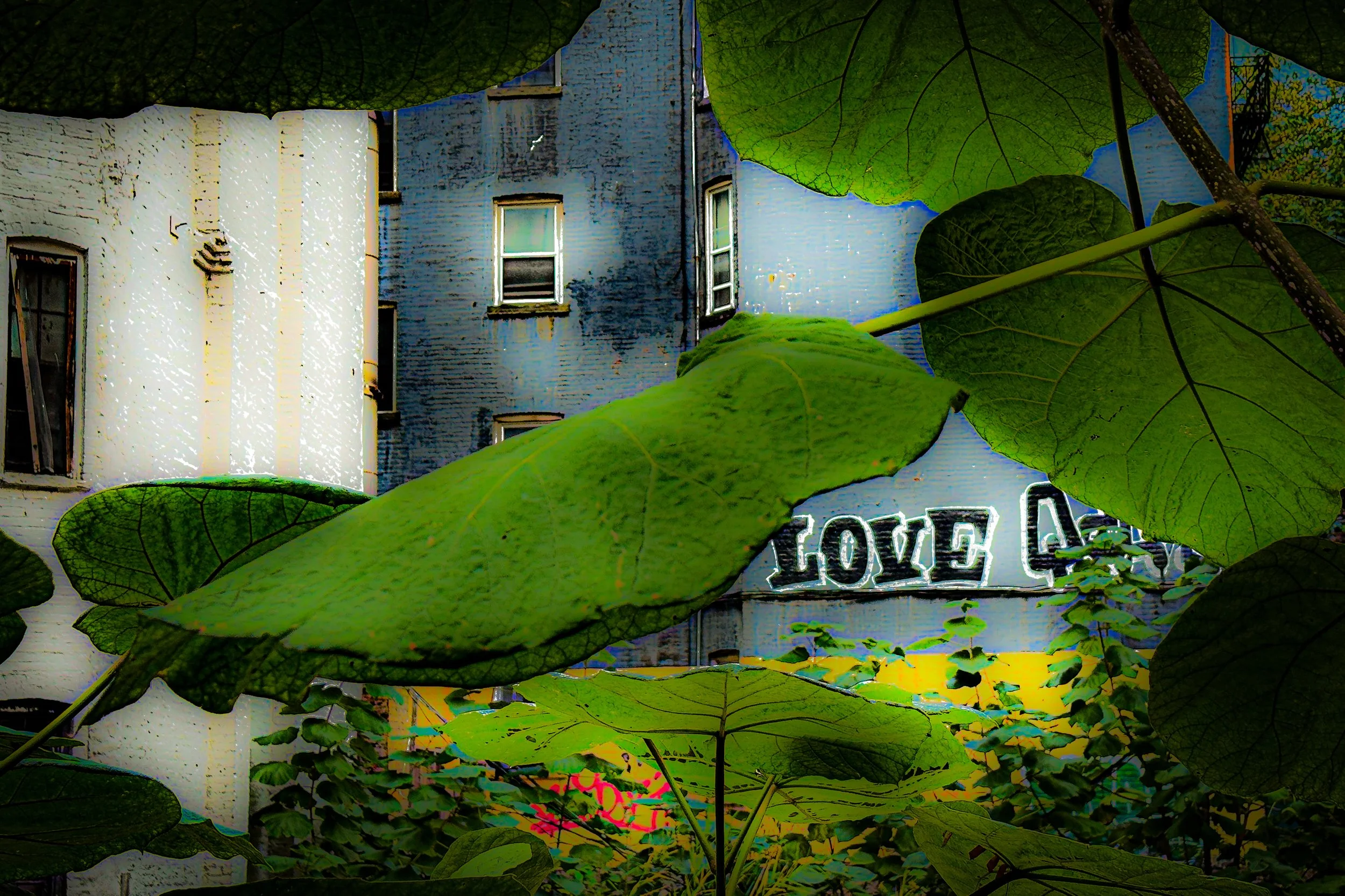 IMG_8842-2-2-2 copy.jpg