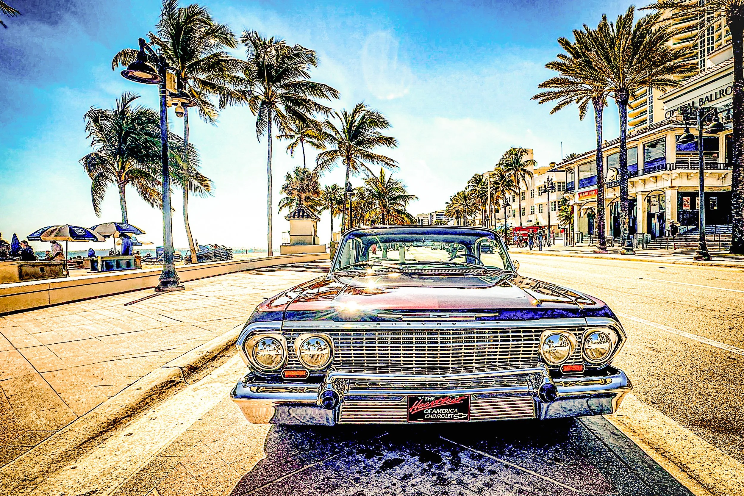 IMG_5698-2-2-2 copy.jpg