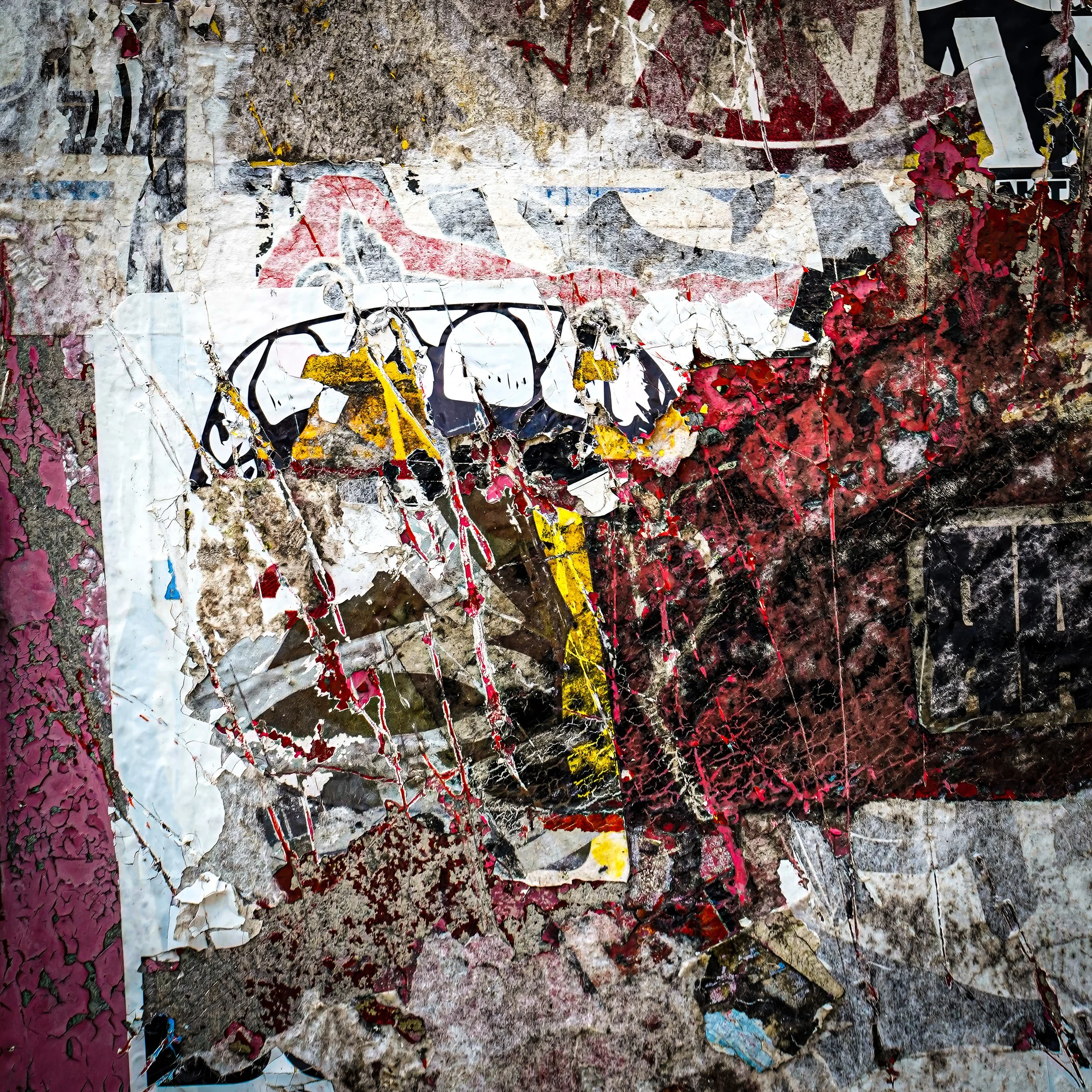 _DSC8767-1 copy-topaz-enhance-1.7x-2-topaz-upscale-1.7x-2 copy.jpg