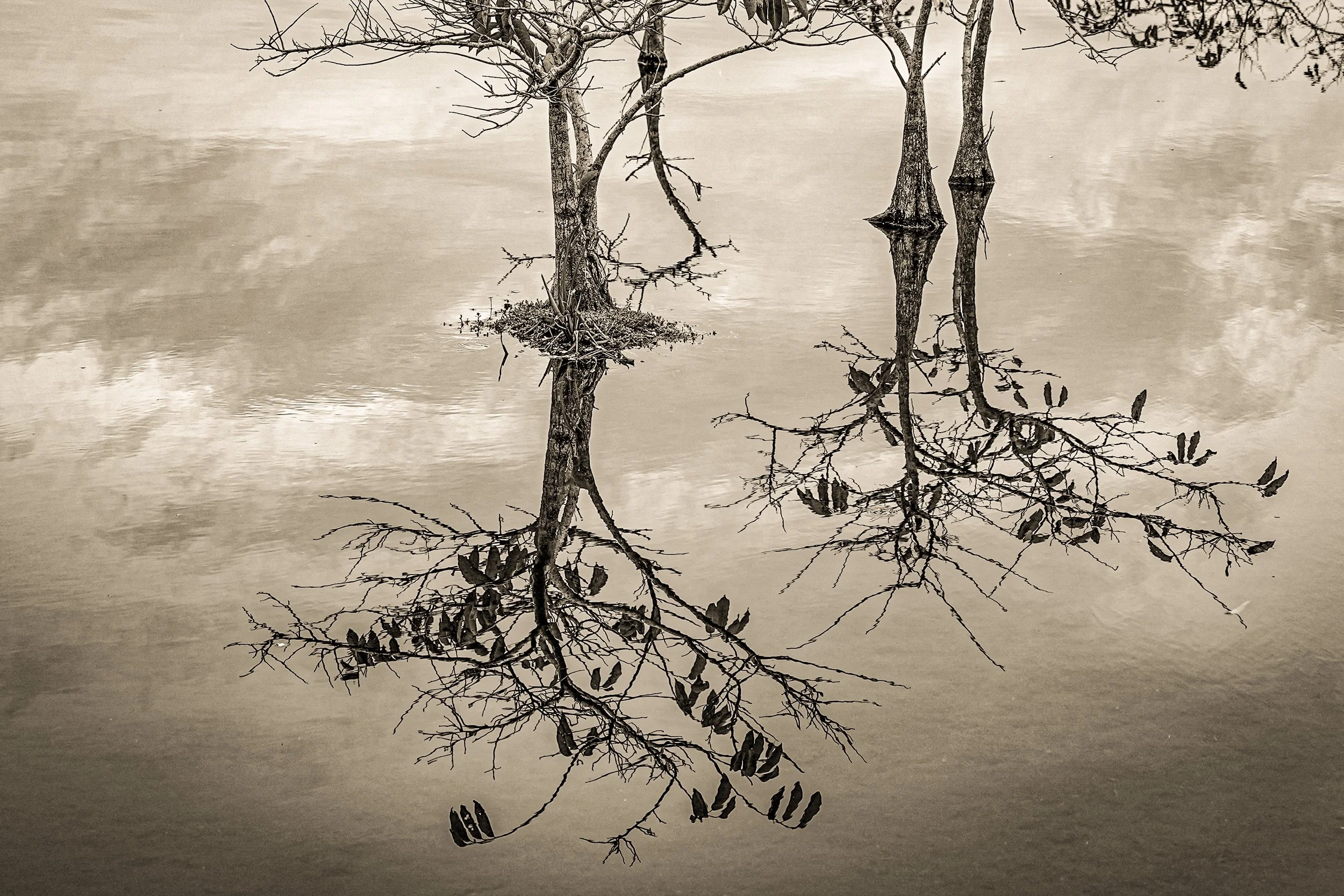 _DSC3716-2-2-2 copy.jpg