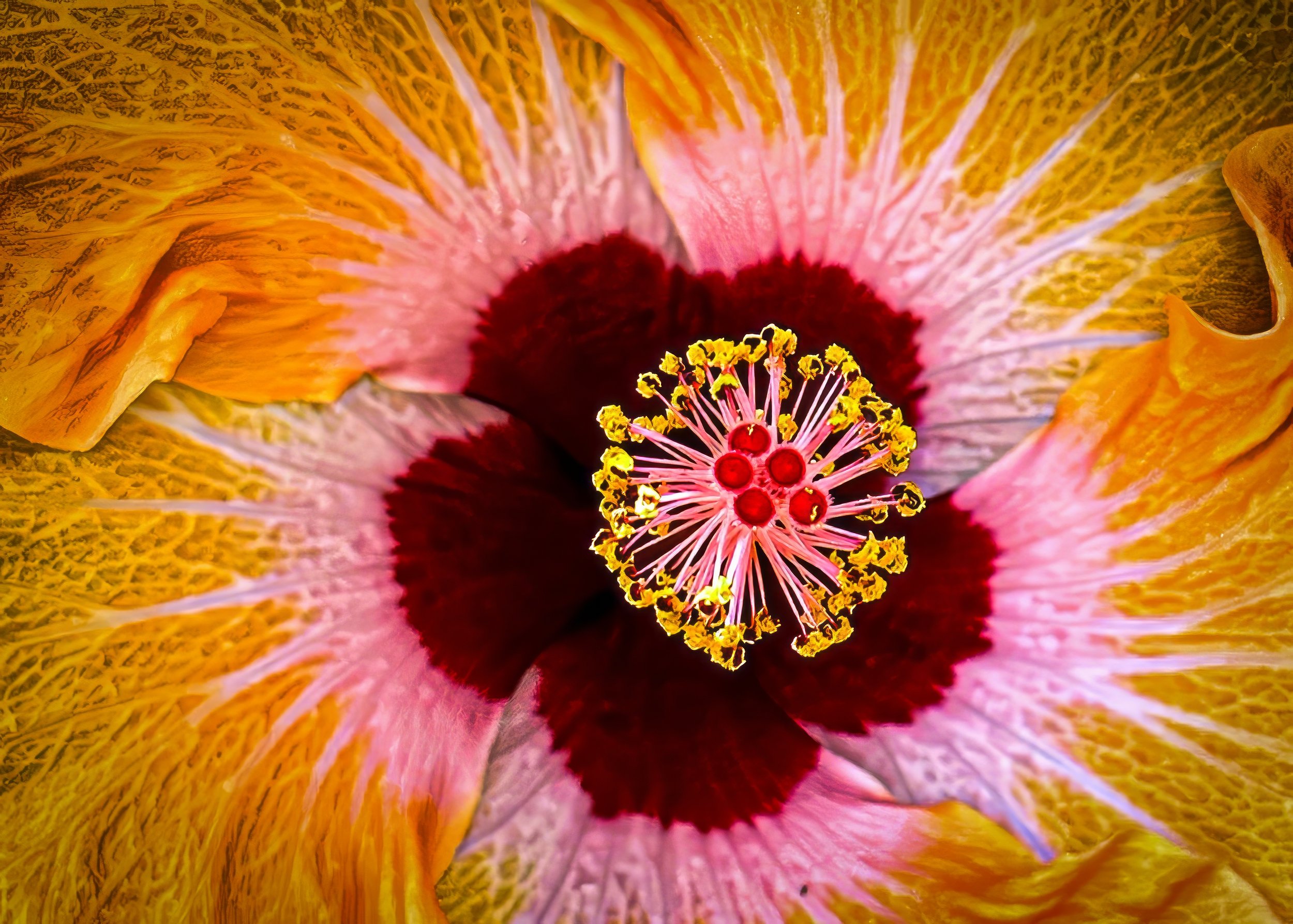 IMG_4927-2-3 copy-topaz-denoise-enhance-2x copy.jpg