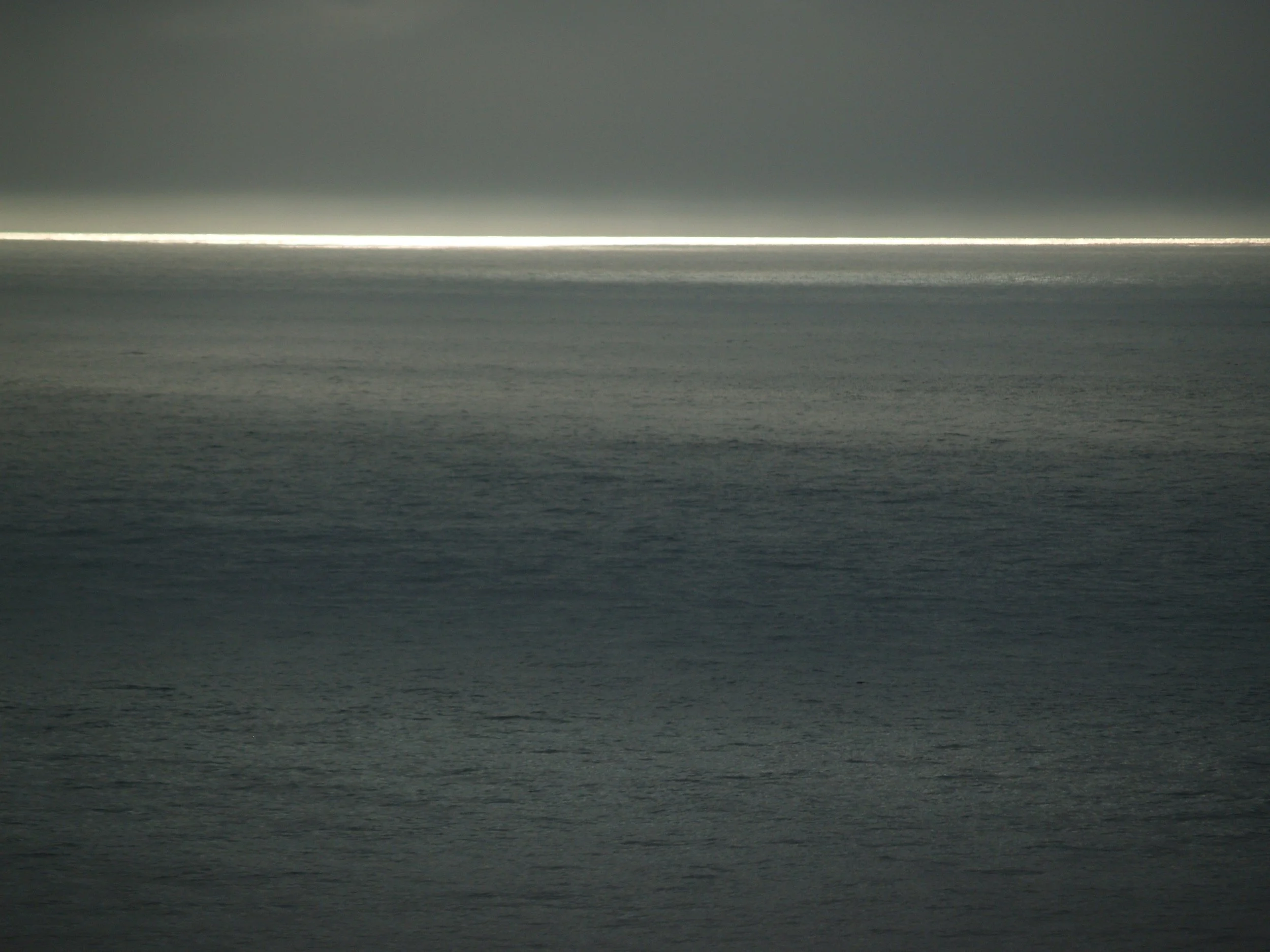 P1013502_edited-1 copy.jpg