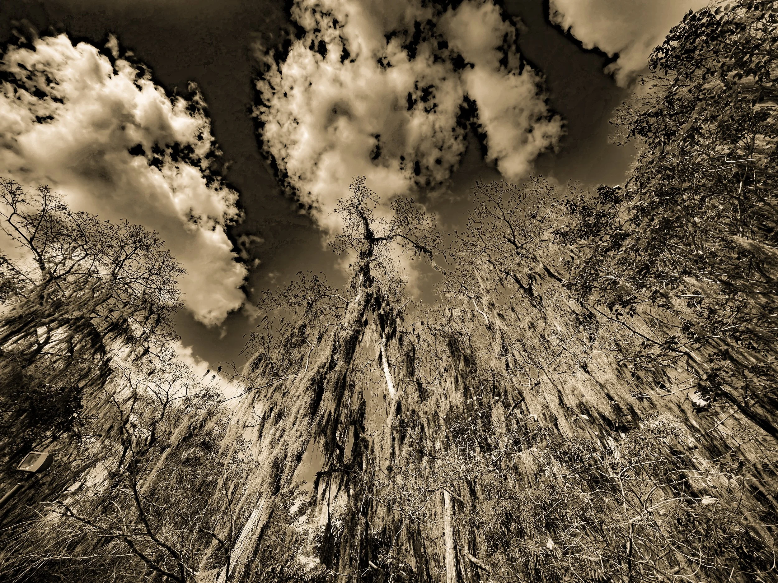 _Fla.nat.pres-29 copy-2.jpg