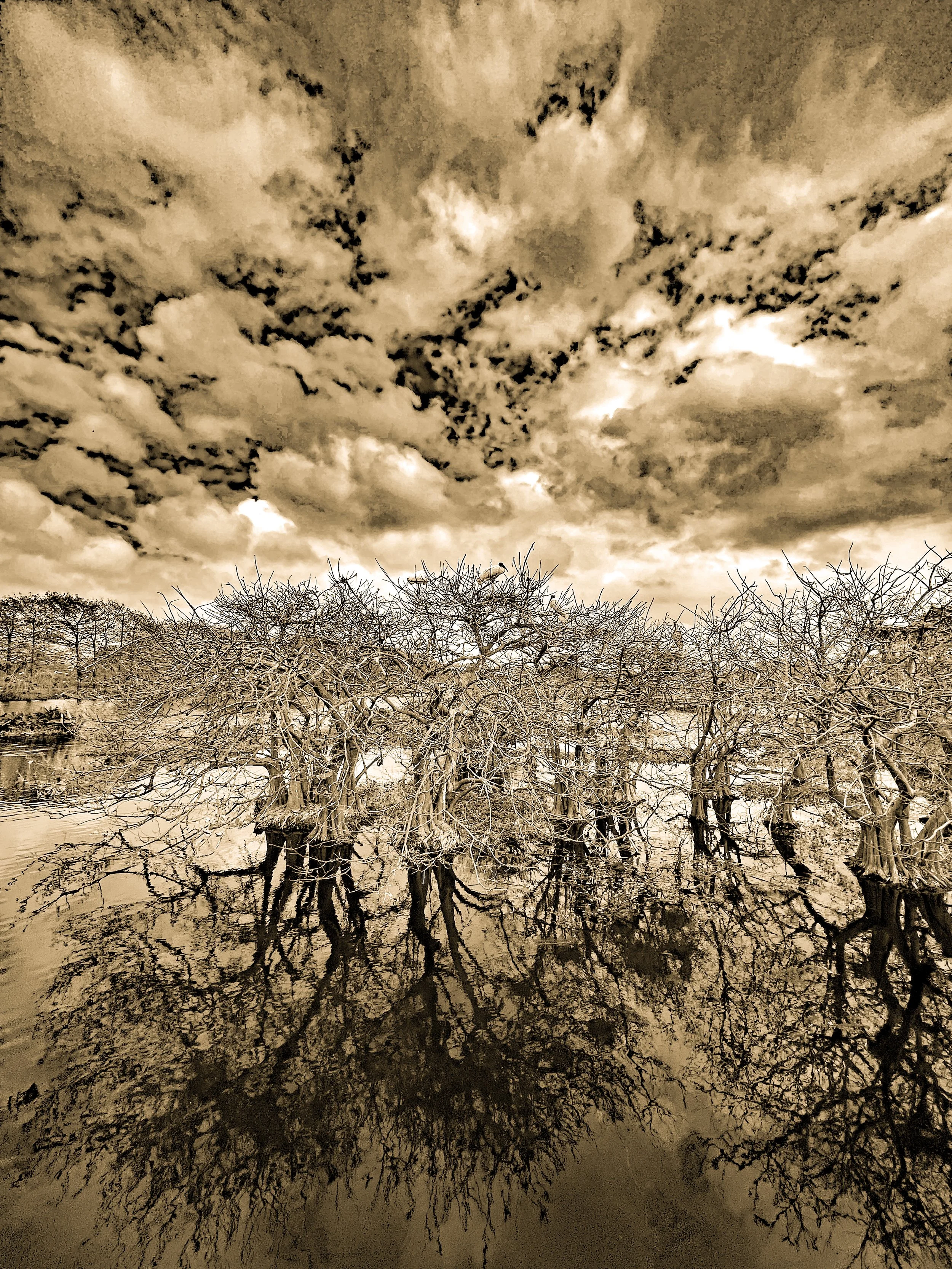 _Fla.nat.pres-21 copy-2.jpg