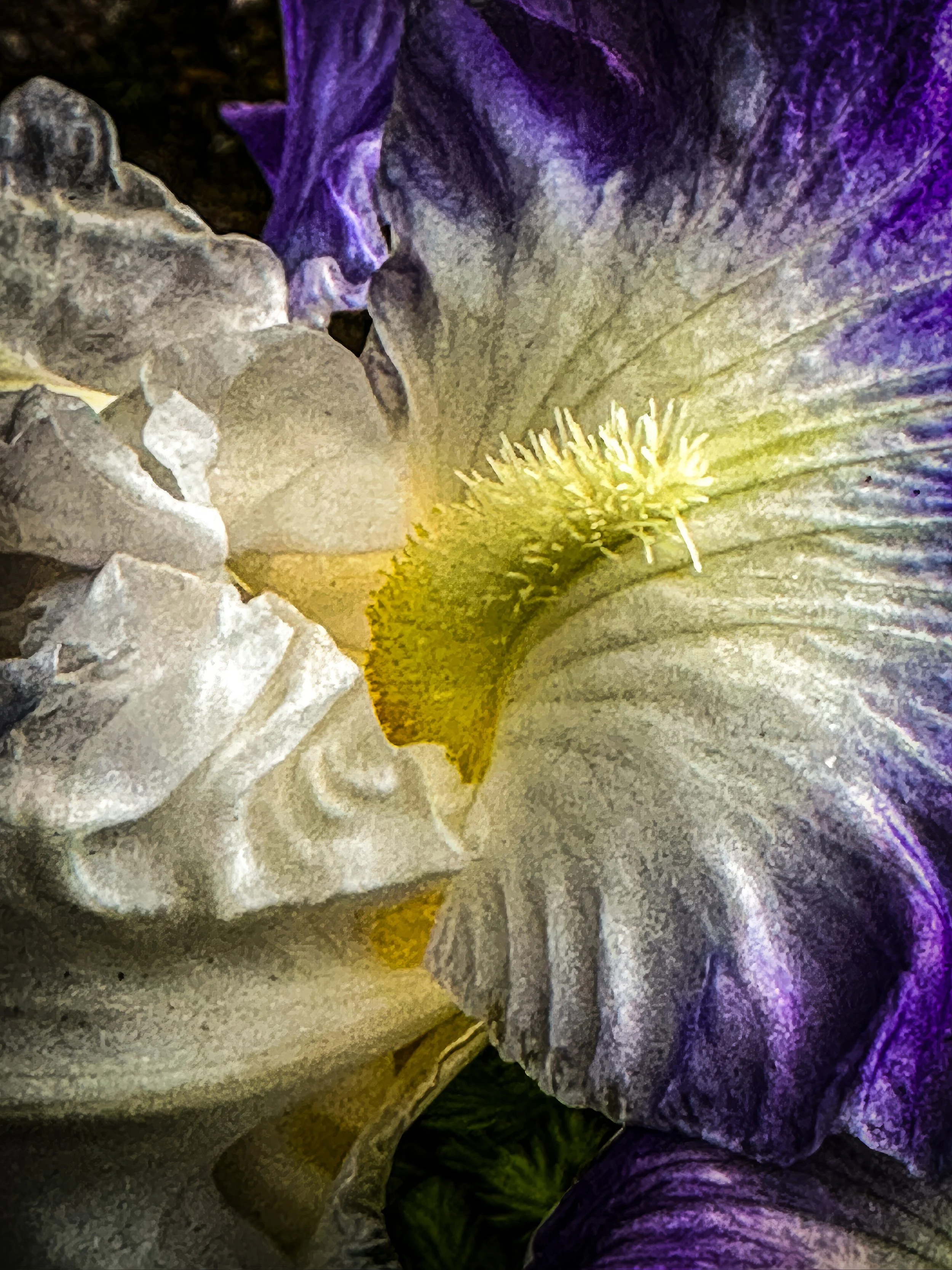 IMG_2780-2-2 copy-2-topaz-enhance-2x copy.jpg