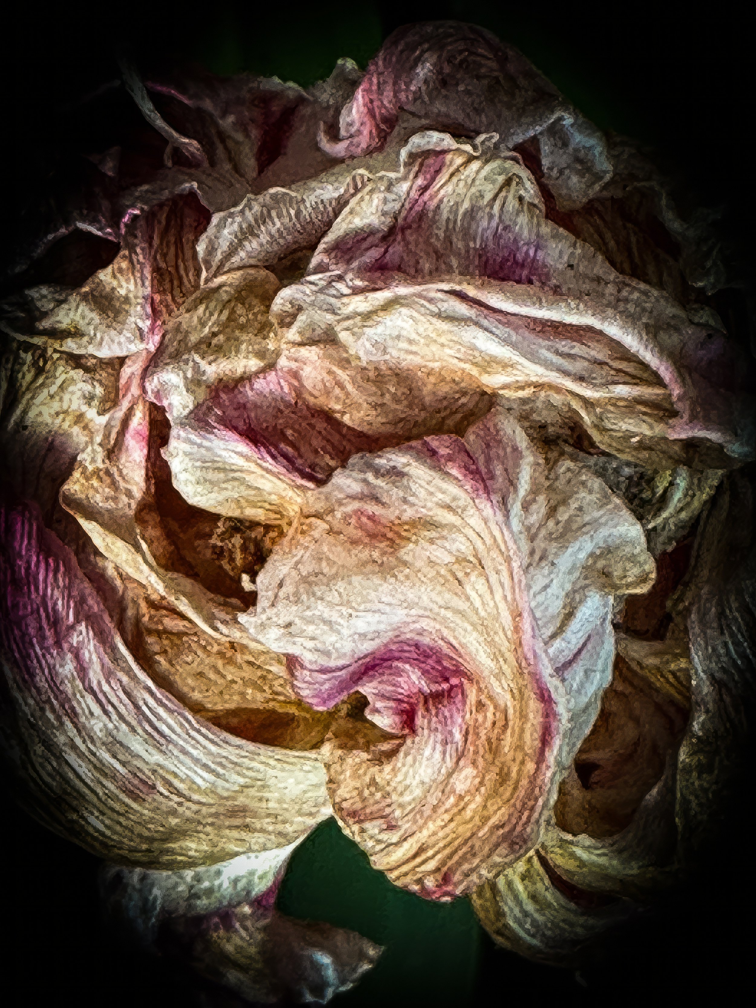 IMG_2772-2 copy-2-topaz-enhance-2x copy.jpg