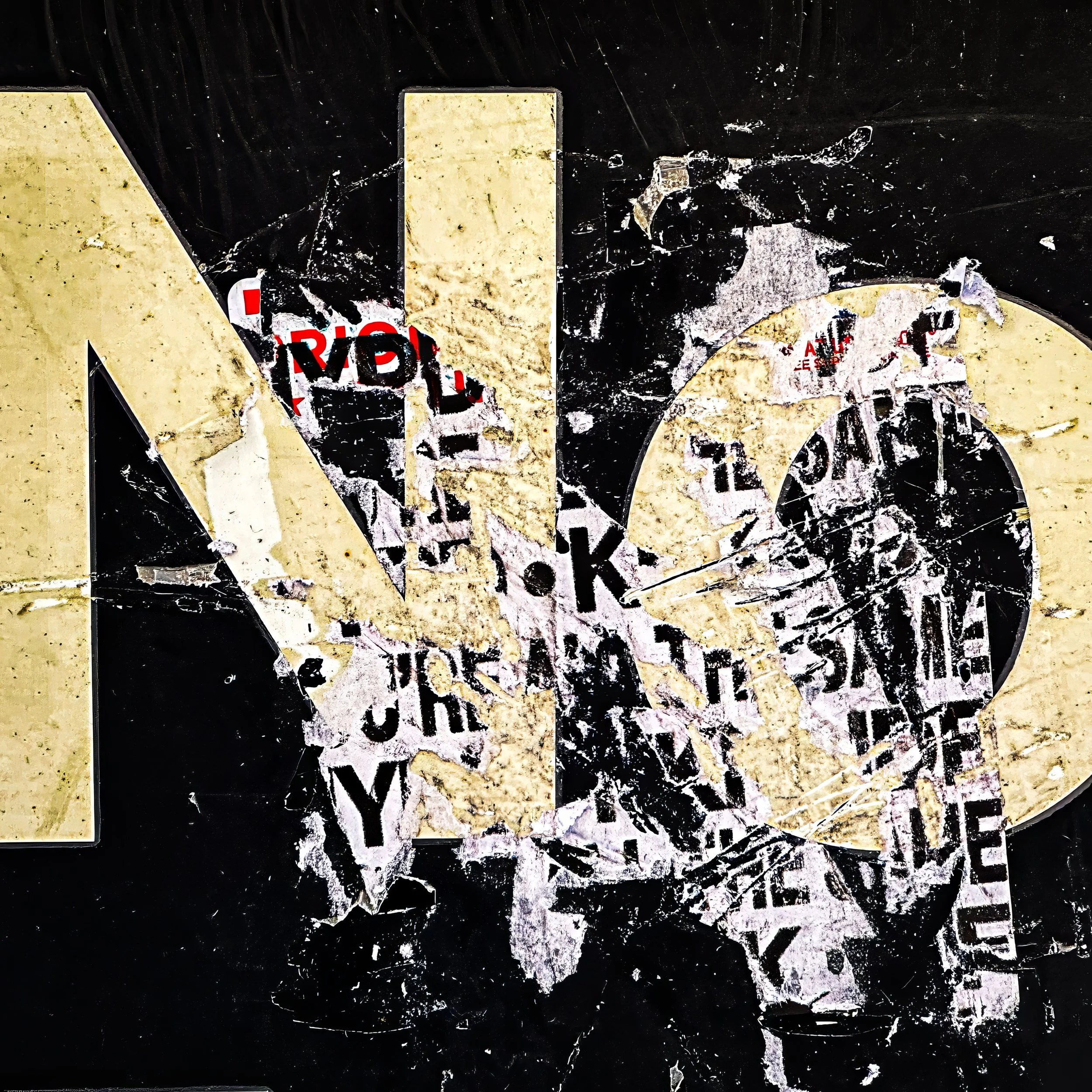 IMG_1690-2-topaz-denoise-upscale-1.7x-2 copy.jpg