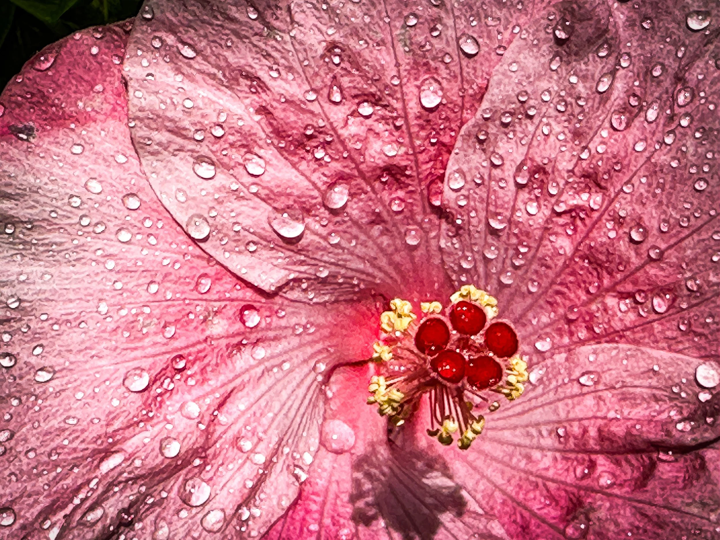 IMG_4936-3 copy-topaz-enhance-2x copy.jpg