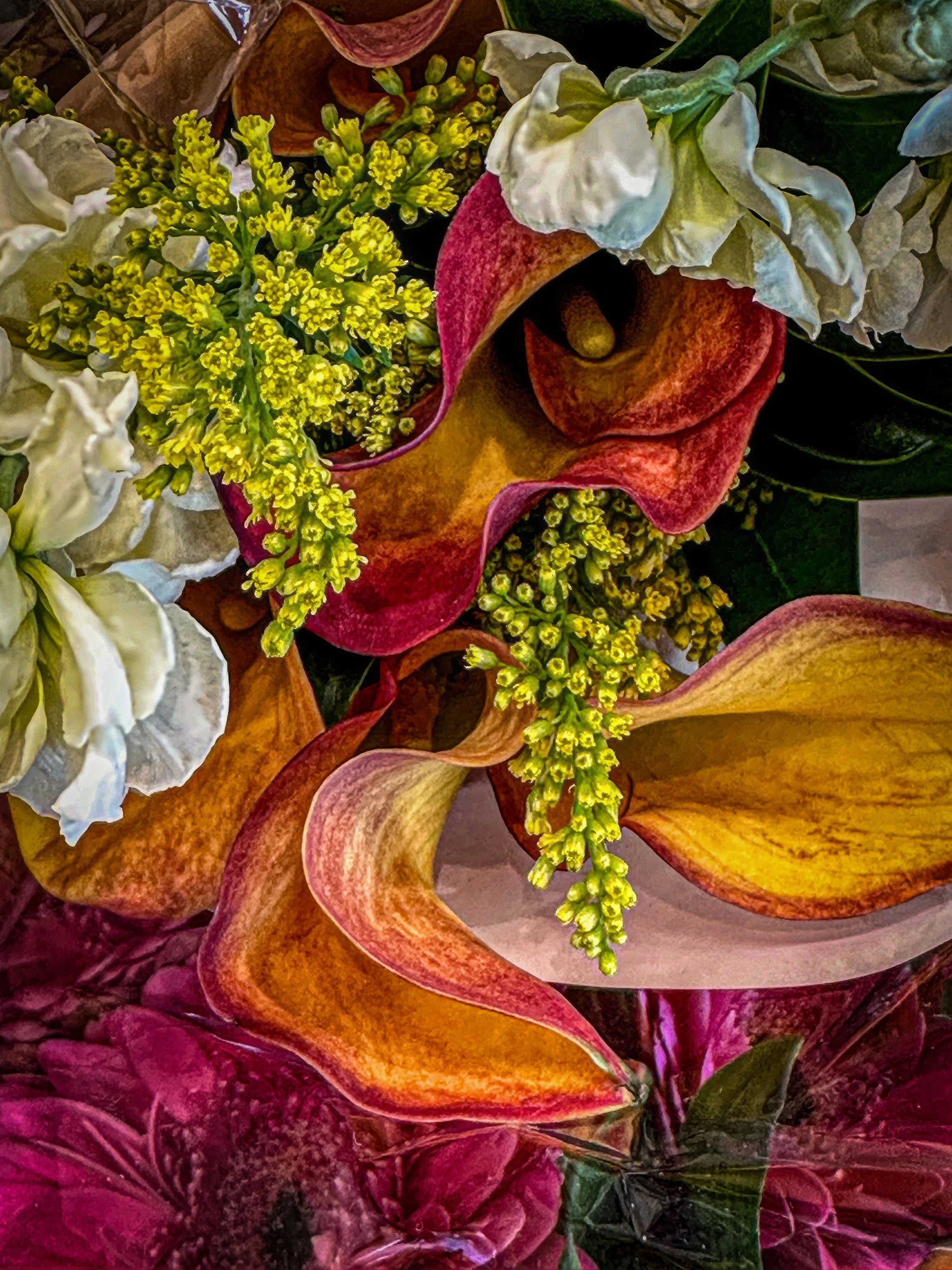 IMG_3679-2-topaz-enhance-2x copy.jpg