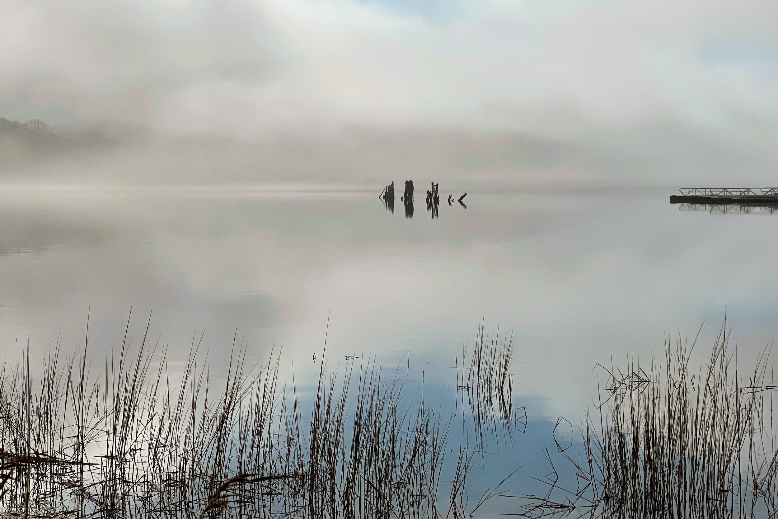 IMG_2276-1-3 copy.jpg