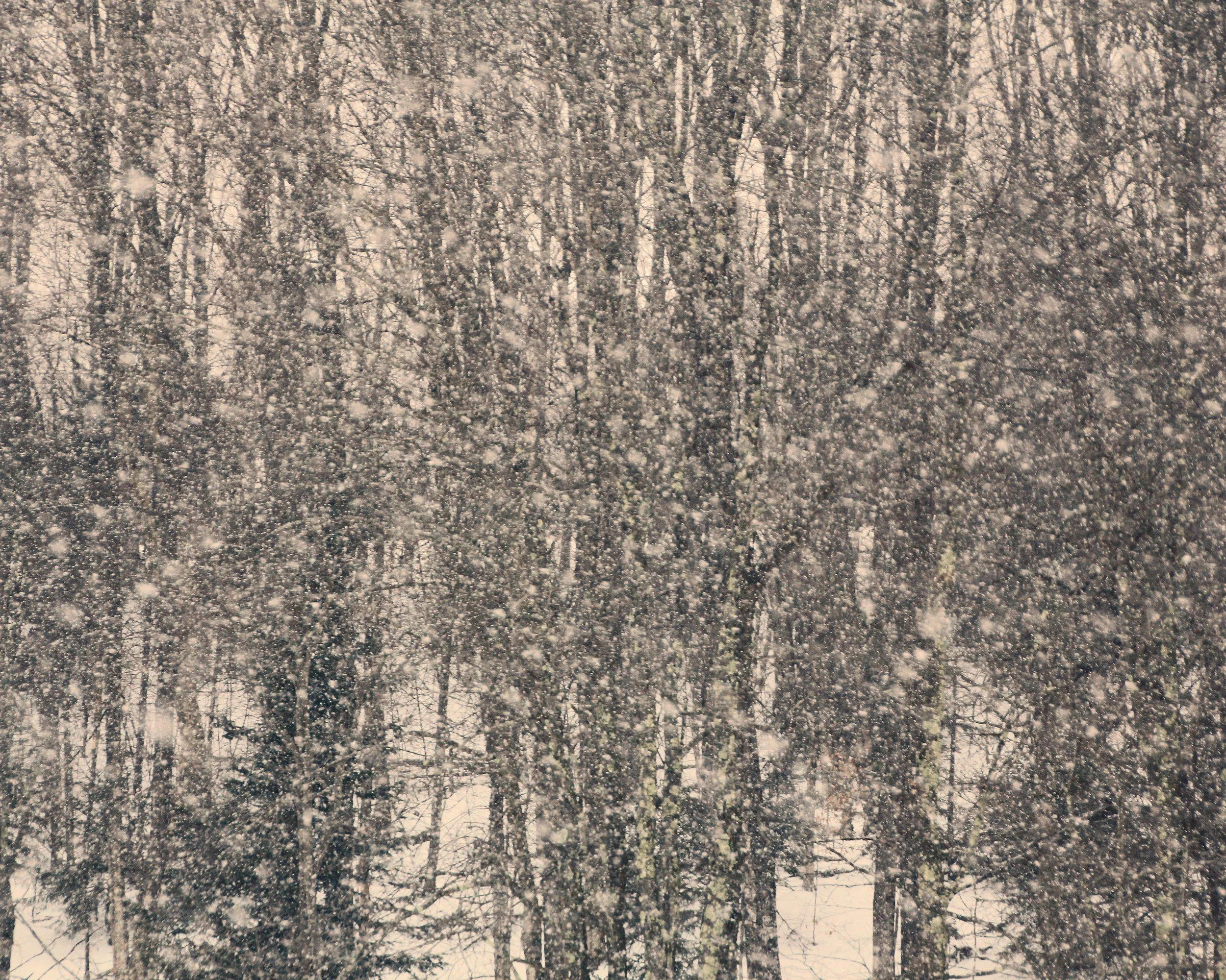 IMG_6447-1-1 copy.jpg