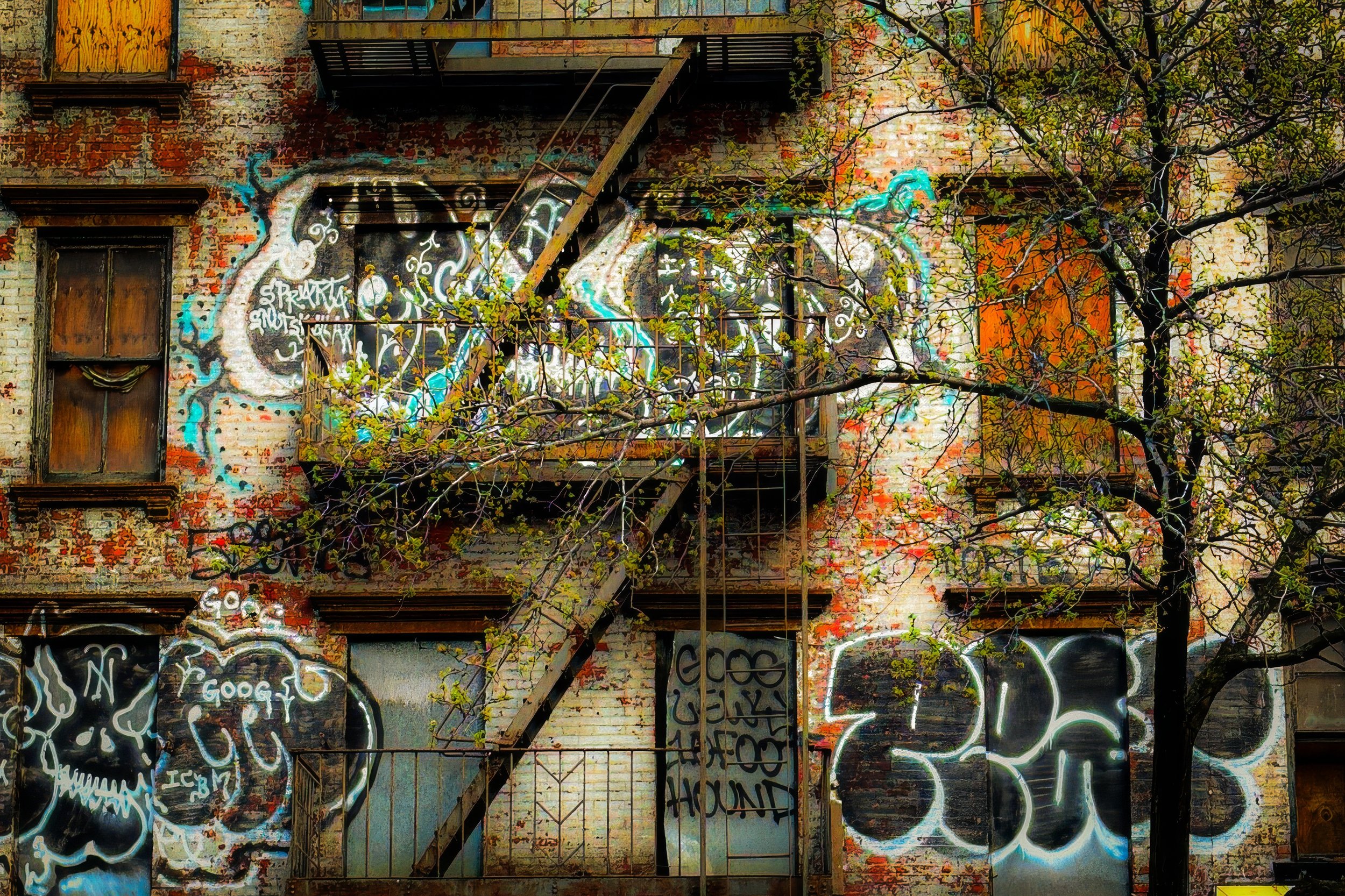 IMG_0877-2 copy-2-2-2-2-topaz-upscale-3.6x copy.jpg