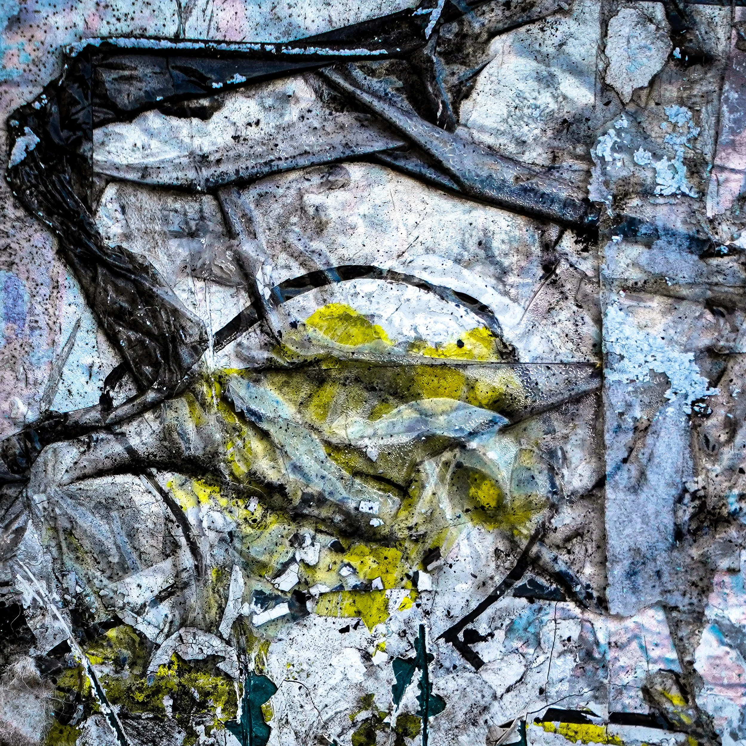 _DSC8796-2-topaz-upscale-1.7x-2 copy.jpg