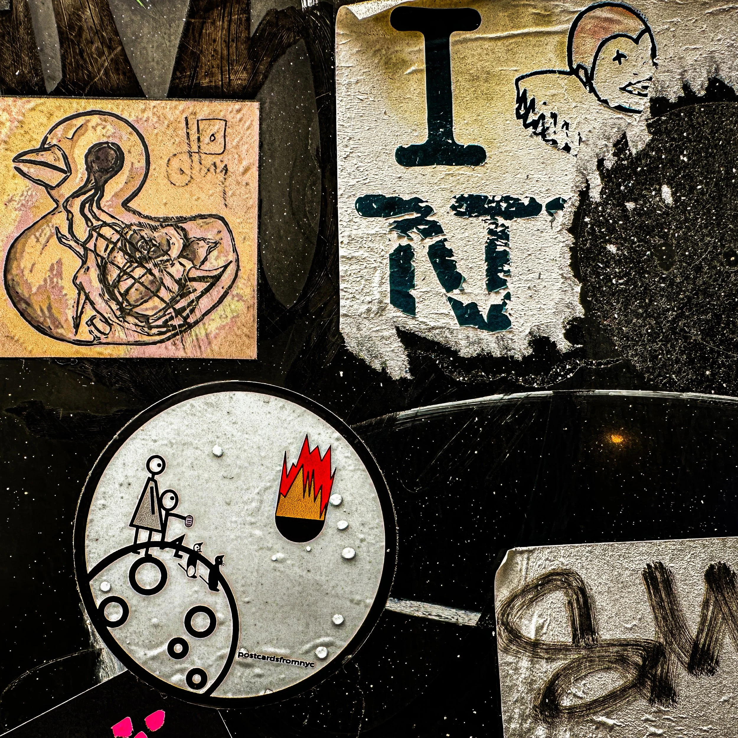 IMG_7569-topaz-upscale-1.7x copy.jpg