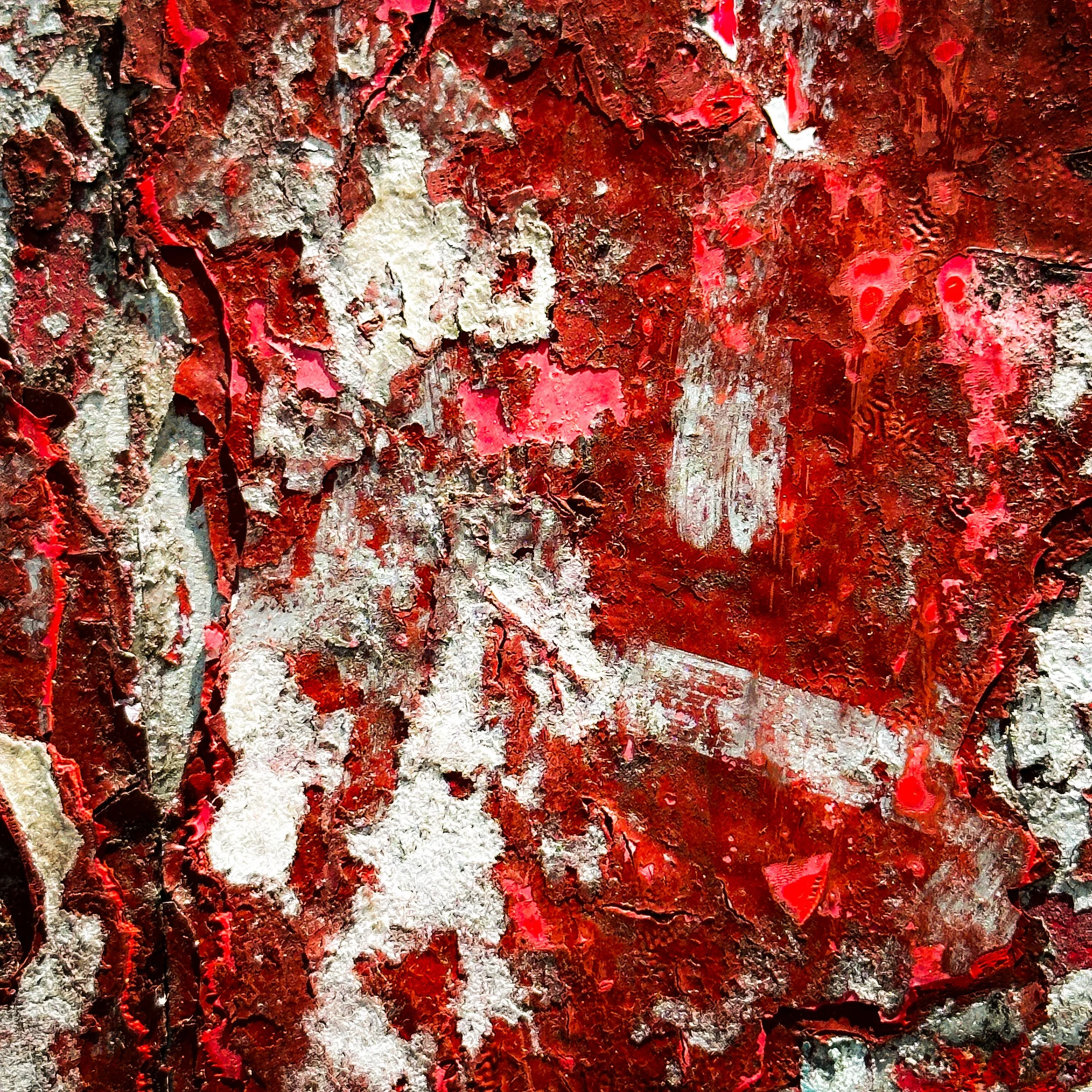 IMG_3135 (1)-2 copy-topaz-upscale-1.7x-2 copy.jpg