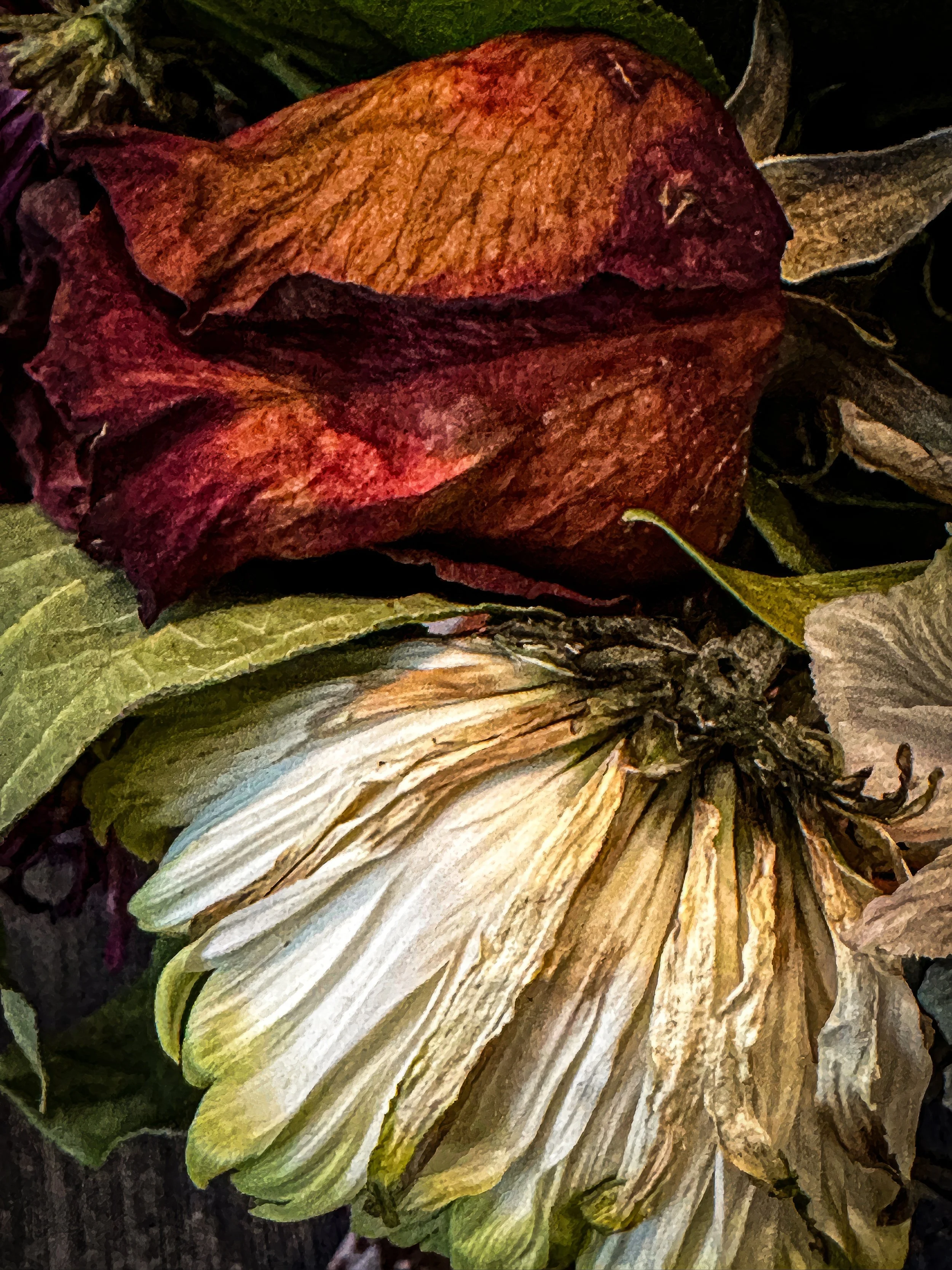 IMG_3901-2 copy 2-2-topaz-enhance-2x copy.jpg