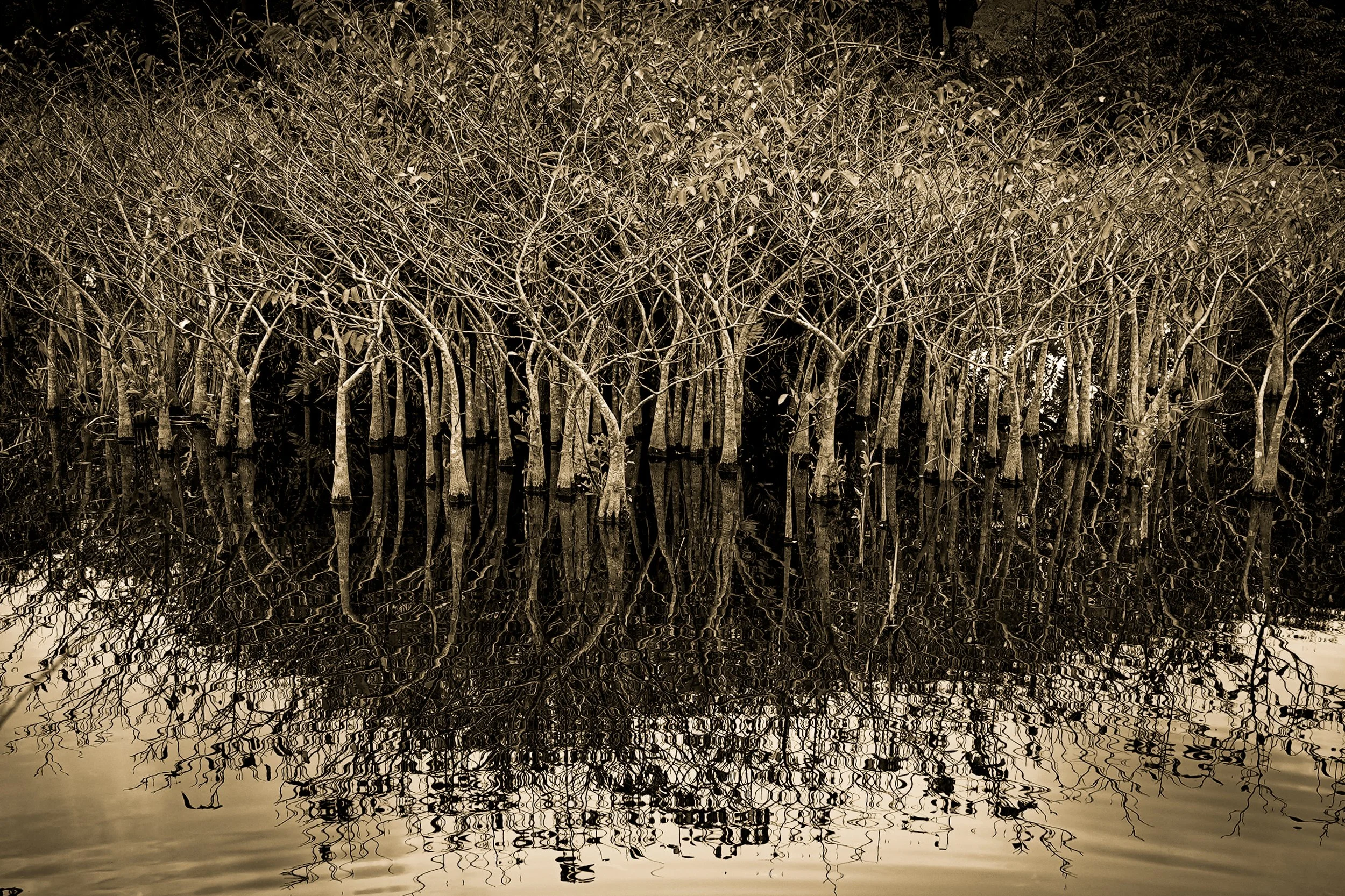 _DSC3740-4-2 copy.jpg