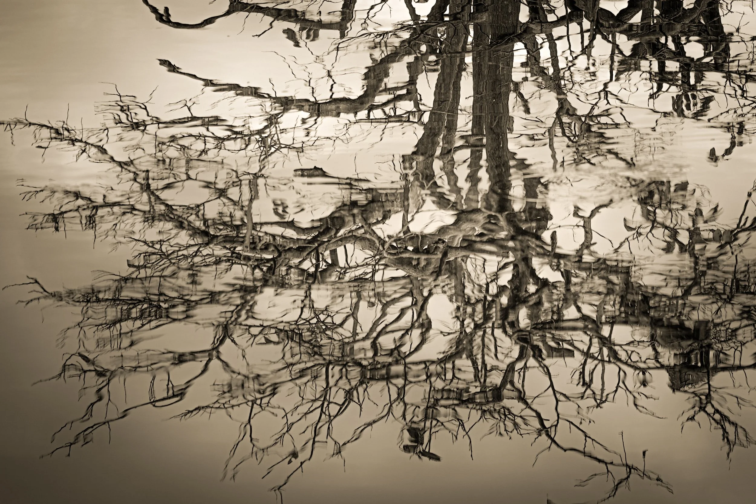 _DSC3810-3-3 copy.jpg