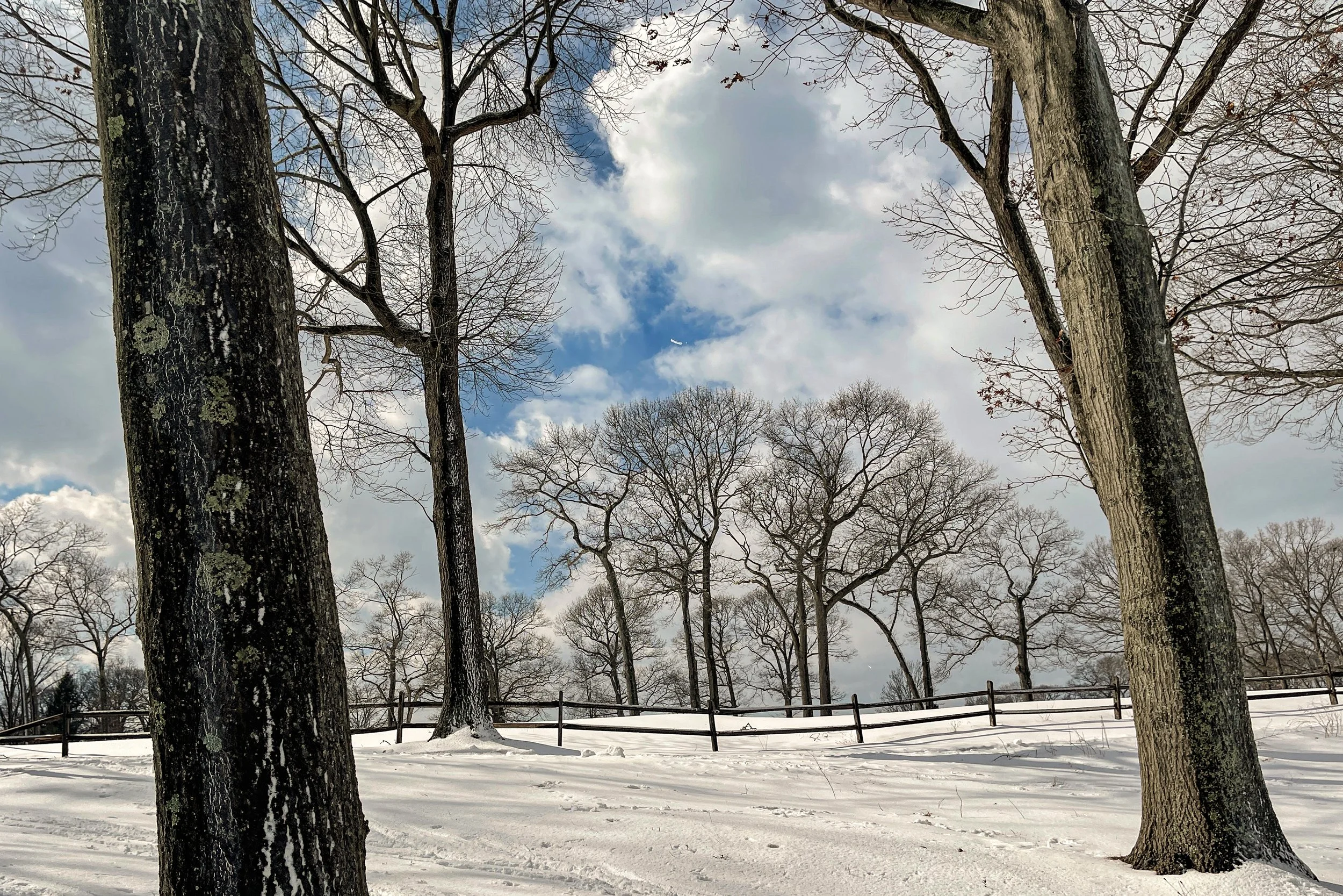 IMG_1656-2 copy-2.jpg