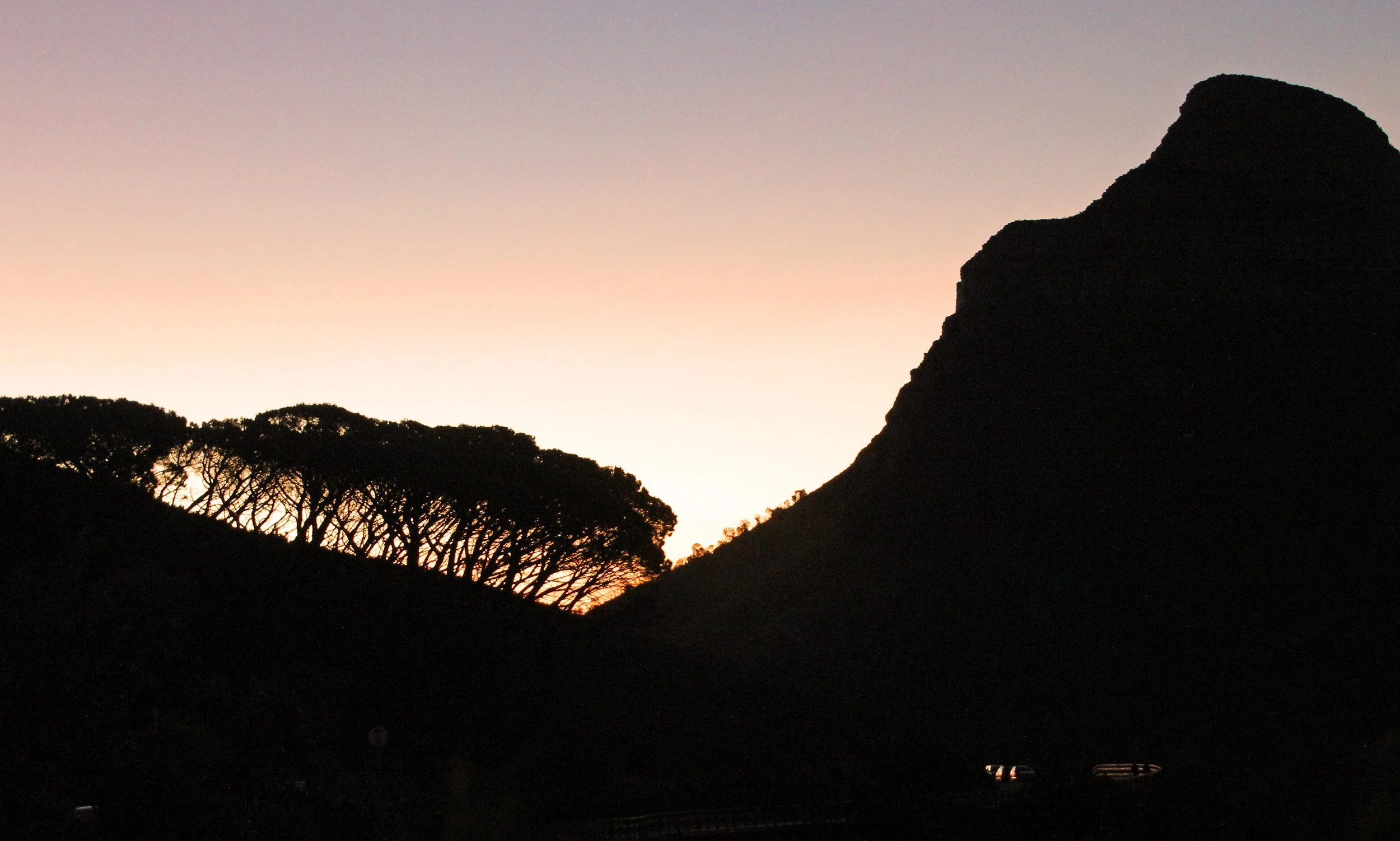 IMG_8368-1 copy 2.jpg