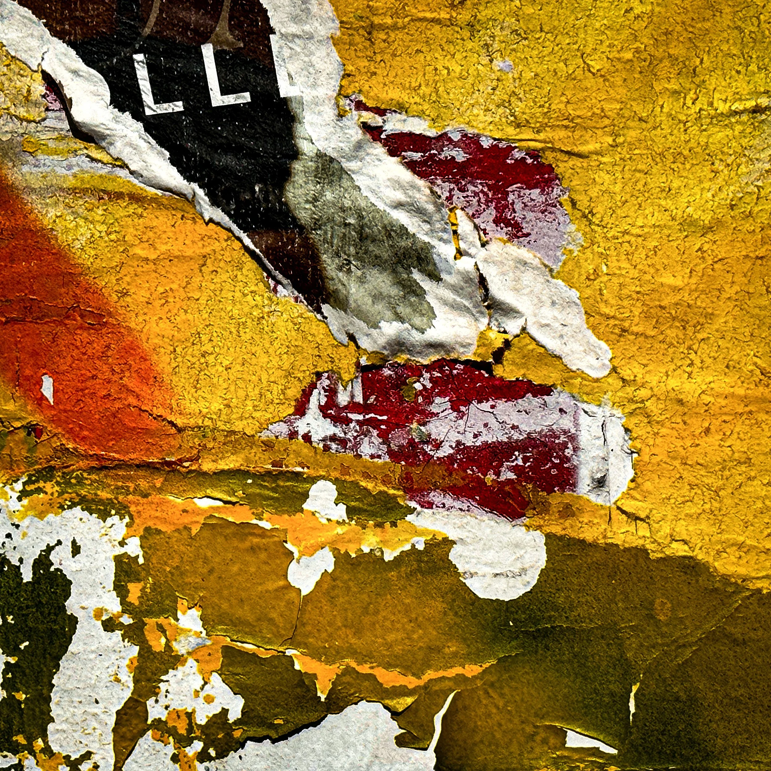 IMG_0271-2-2-topaz-enhance-1.7x-2 copy.jpg