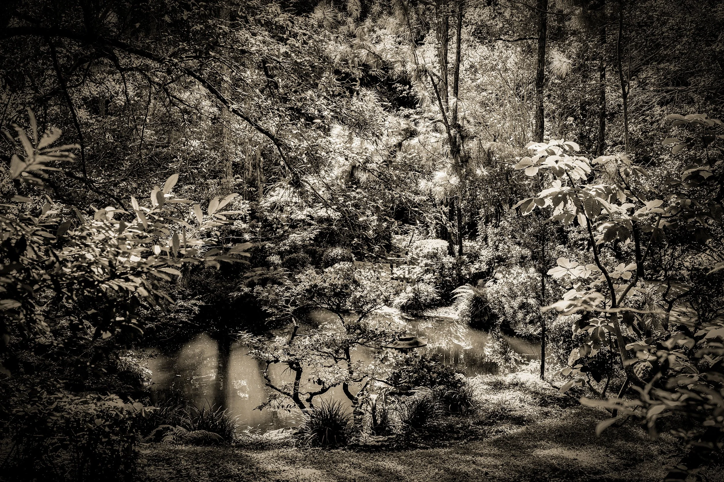 _DSC3554-3-3 copy.jpg