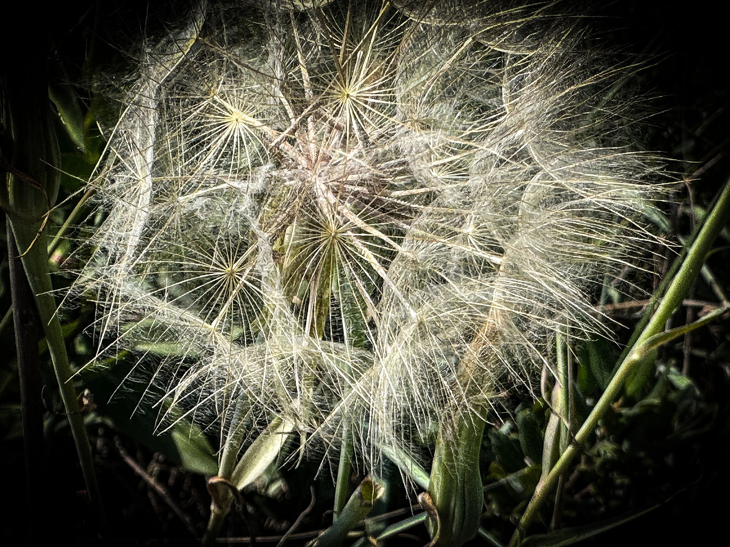 IMG_5053-2 copy-topaz-enhance-2x copy.jpg